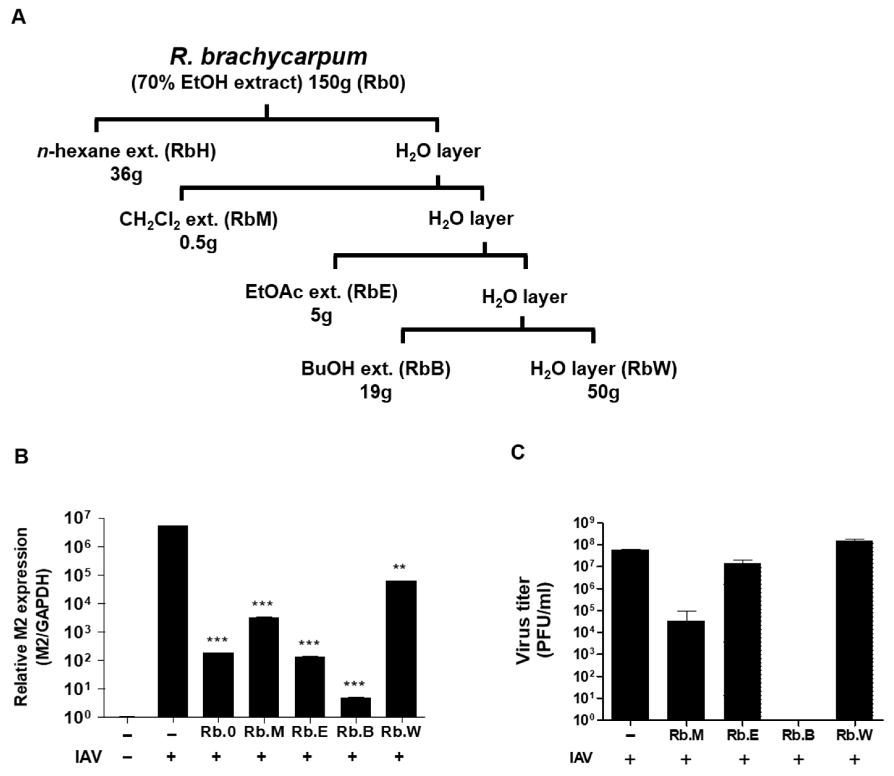 Microbiolres 16 00132 g002