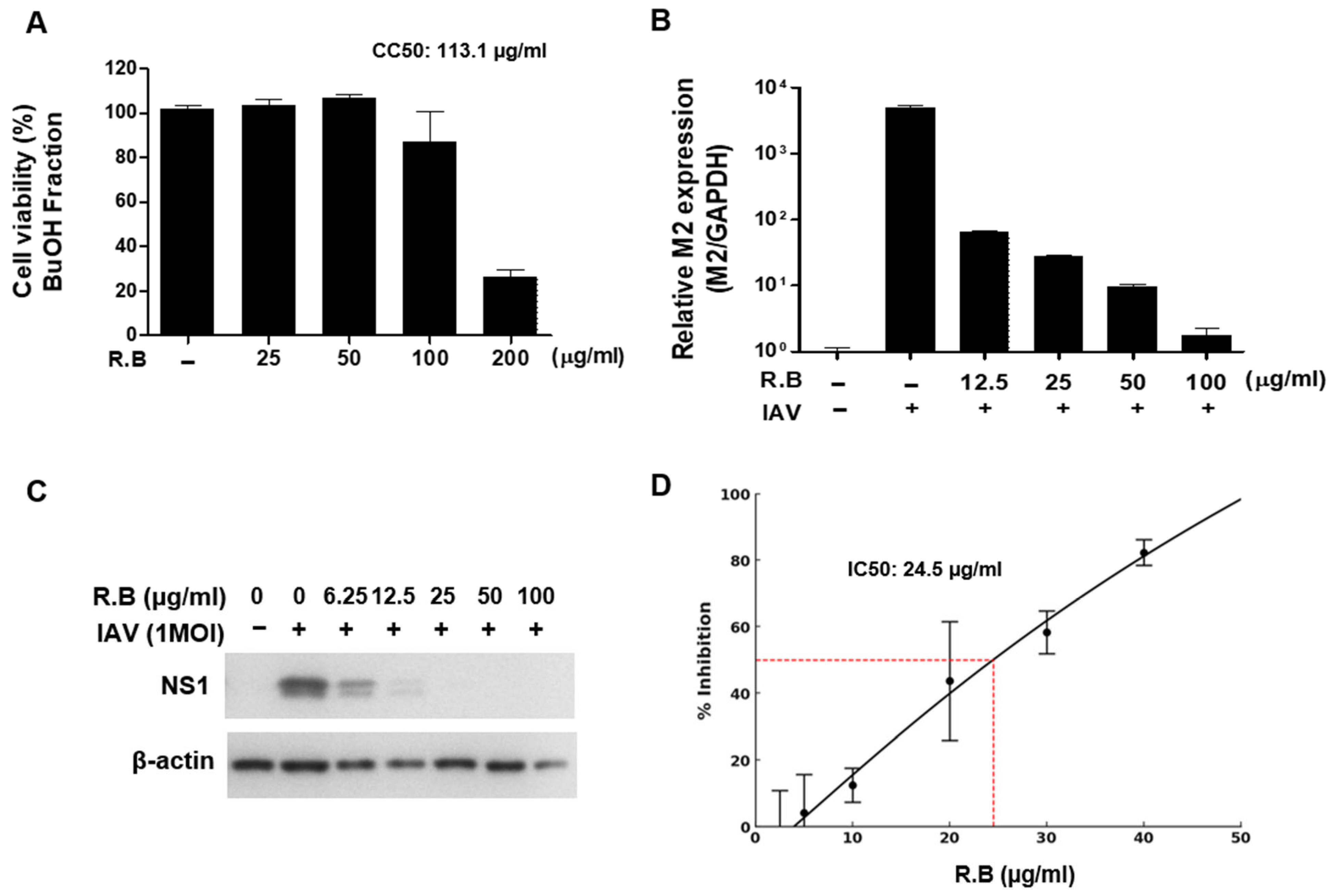 Microbiolres 16 00132 g003