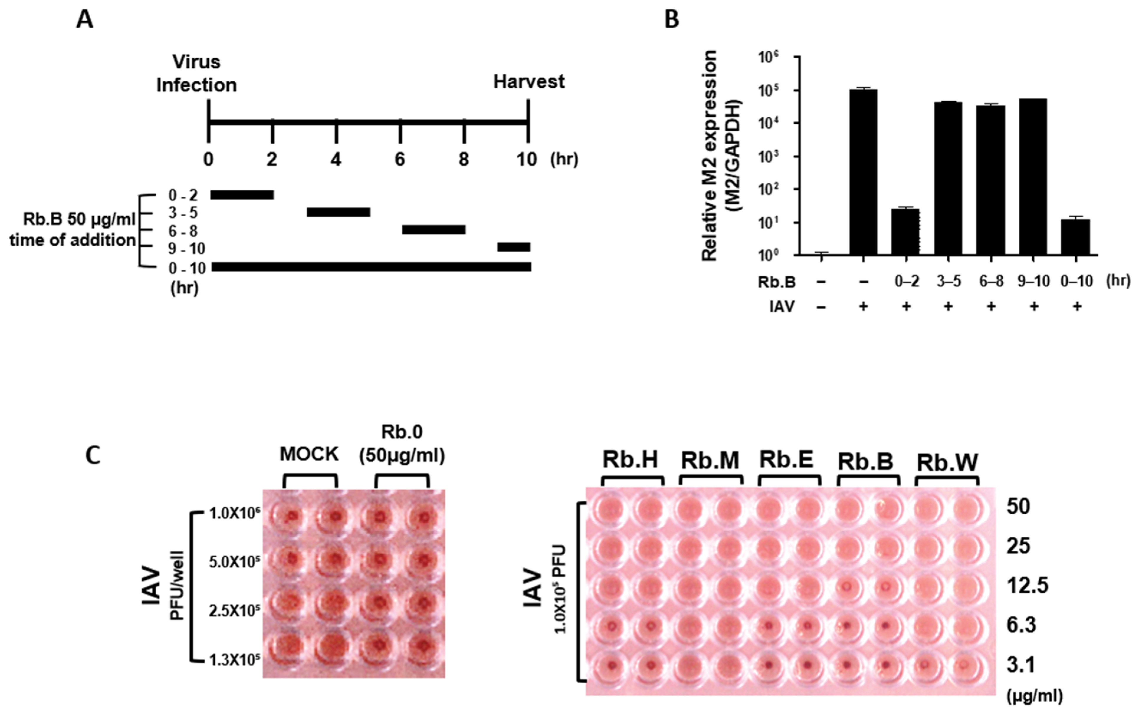 Microbiolres 16 00132 g004