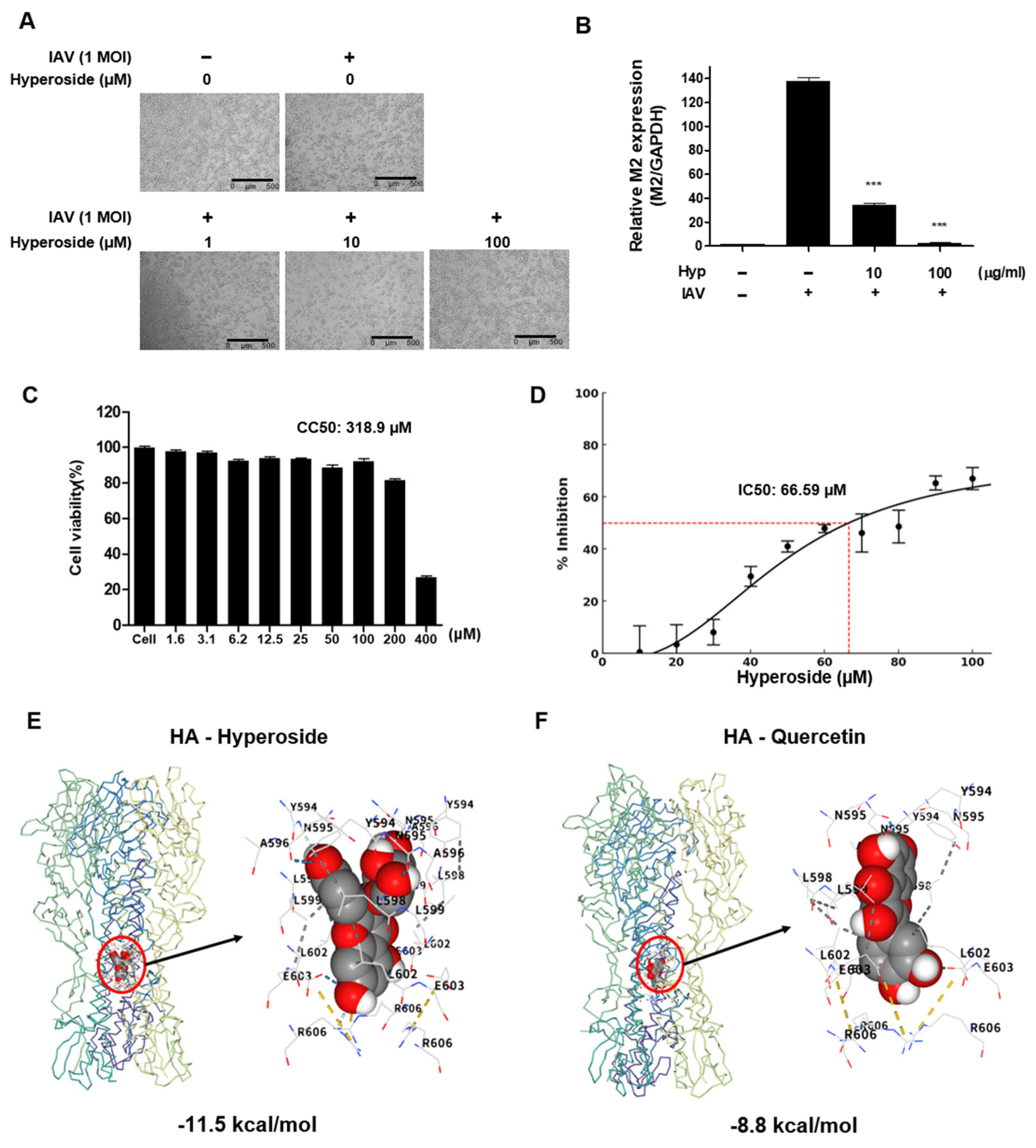 Microbiolres 16 00132 g006