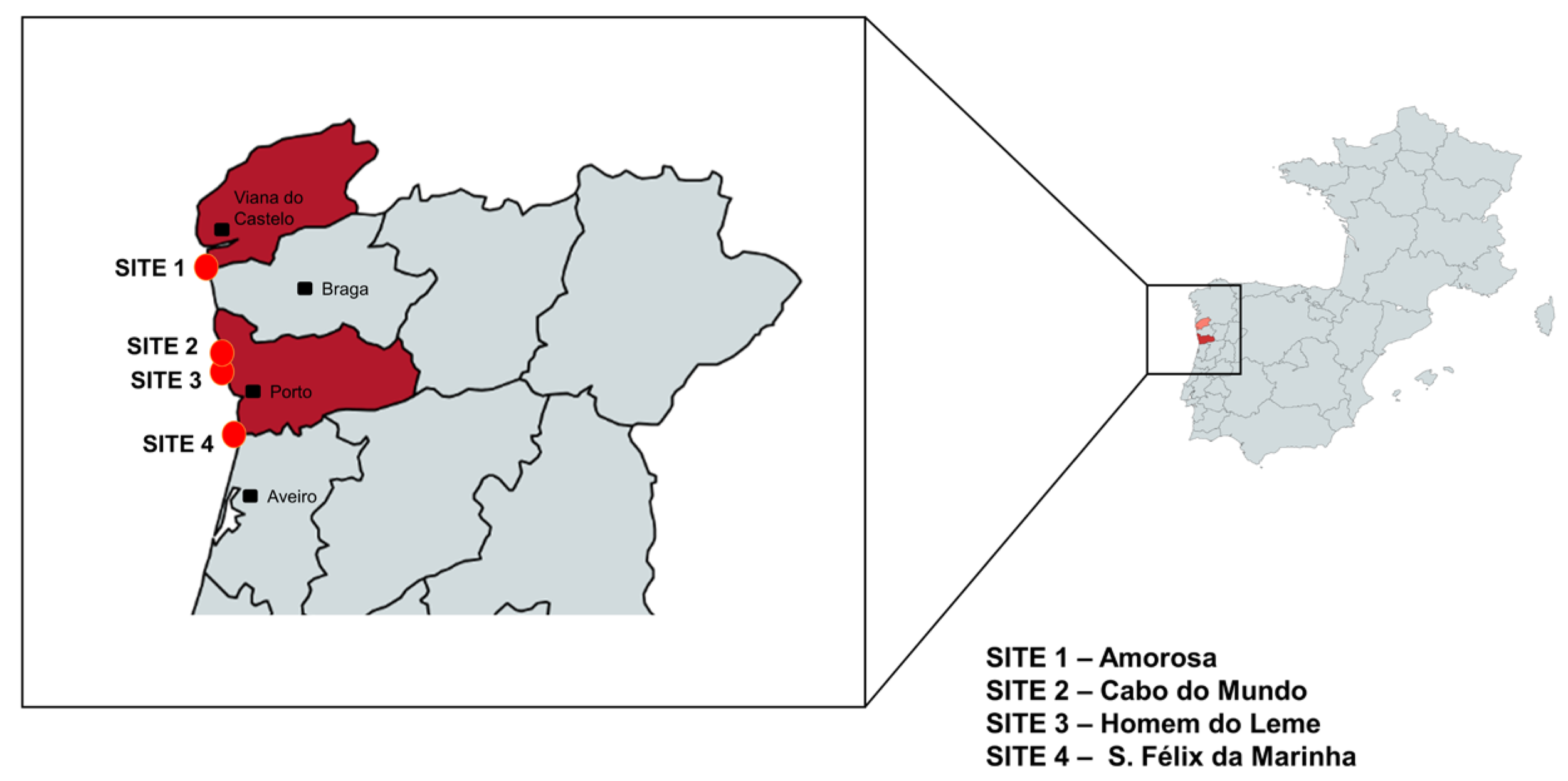 Microbiolres 16 00133 g001