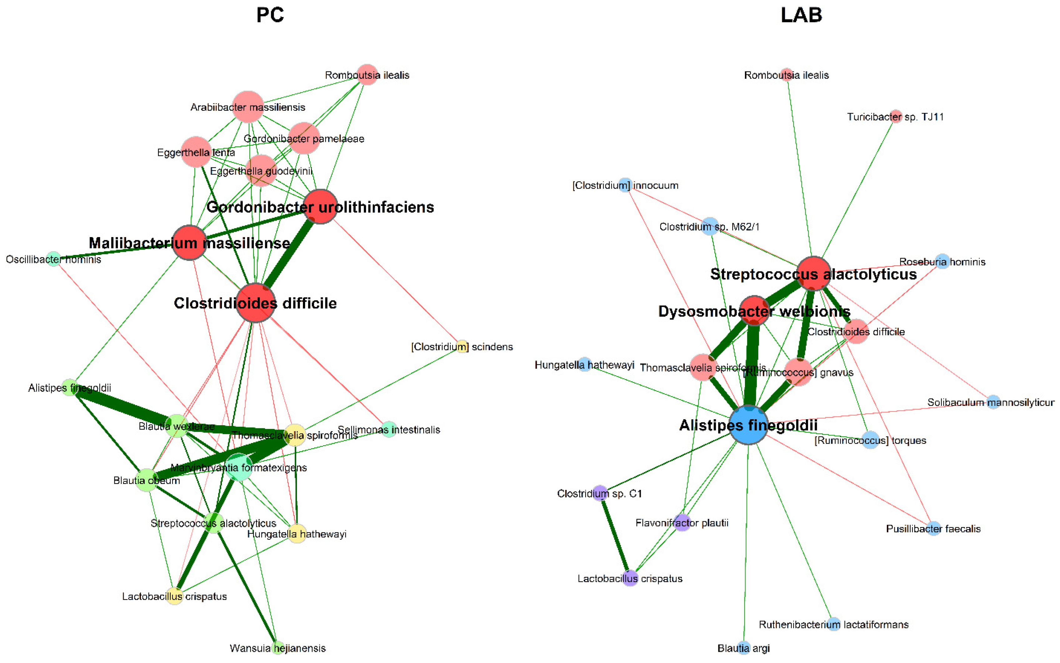 Microbiolres 16 00136 g006