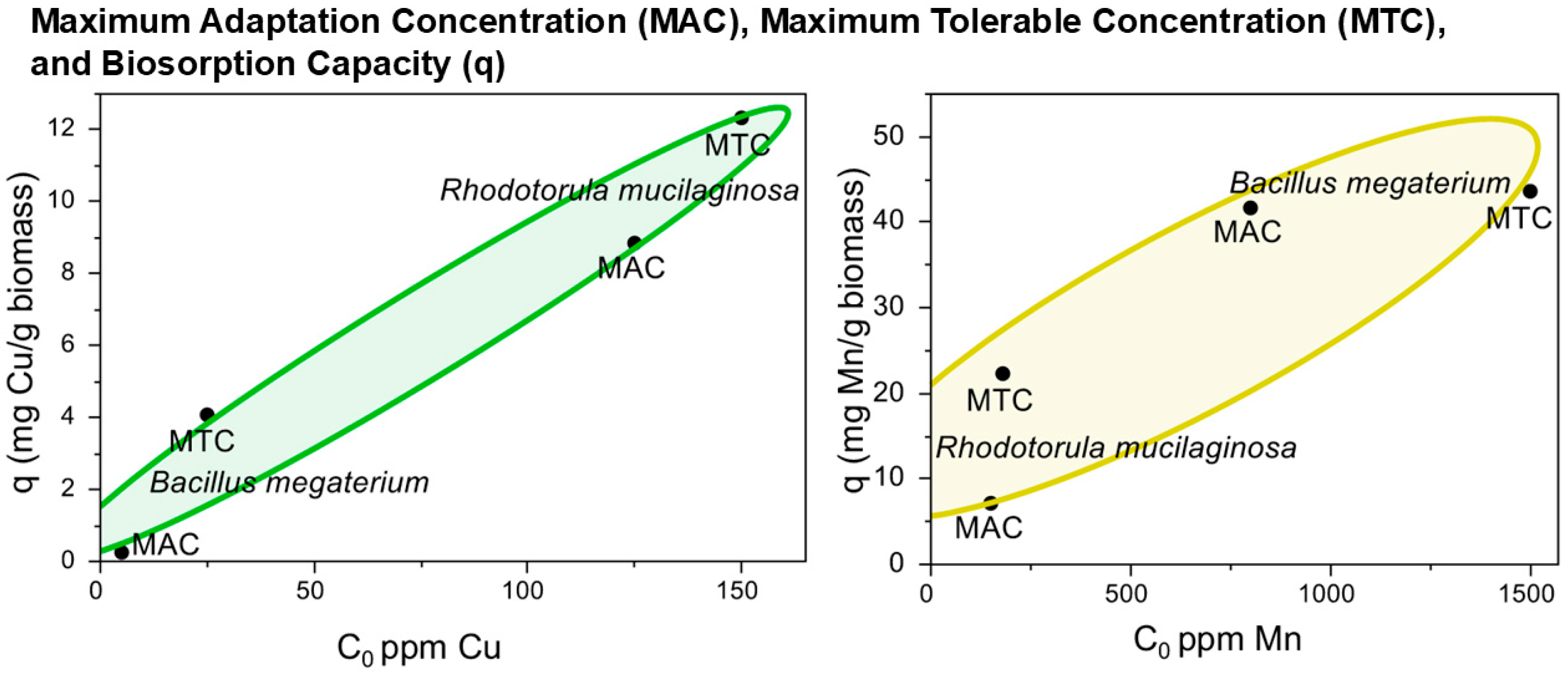Microbiolres 16 00140 g005