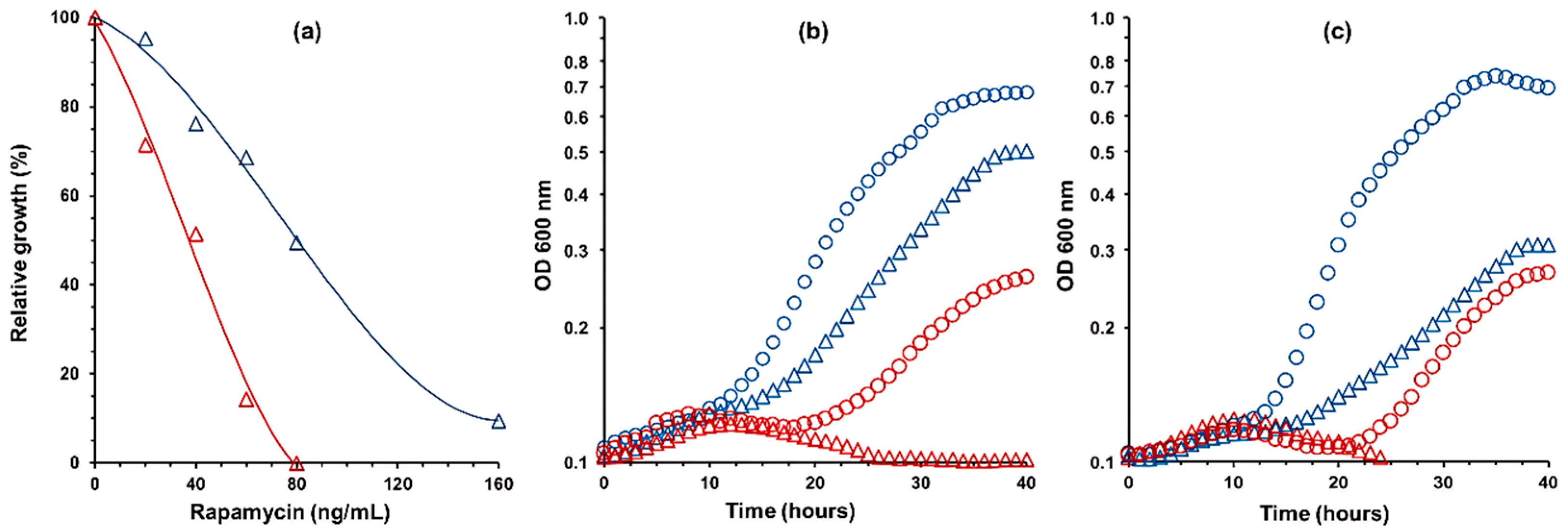 Microbiolres 16 00143 g001