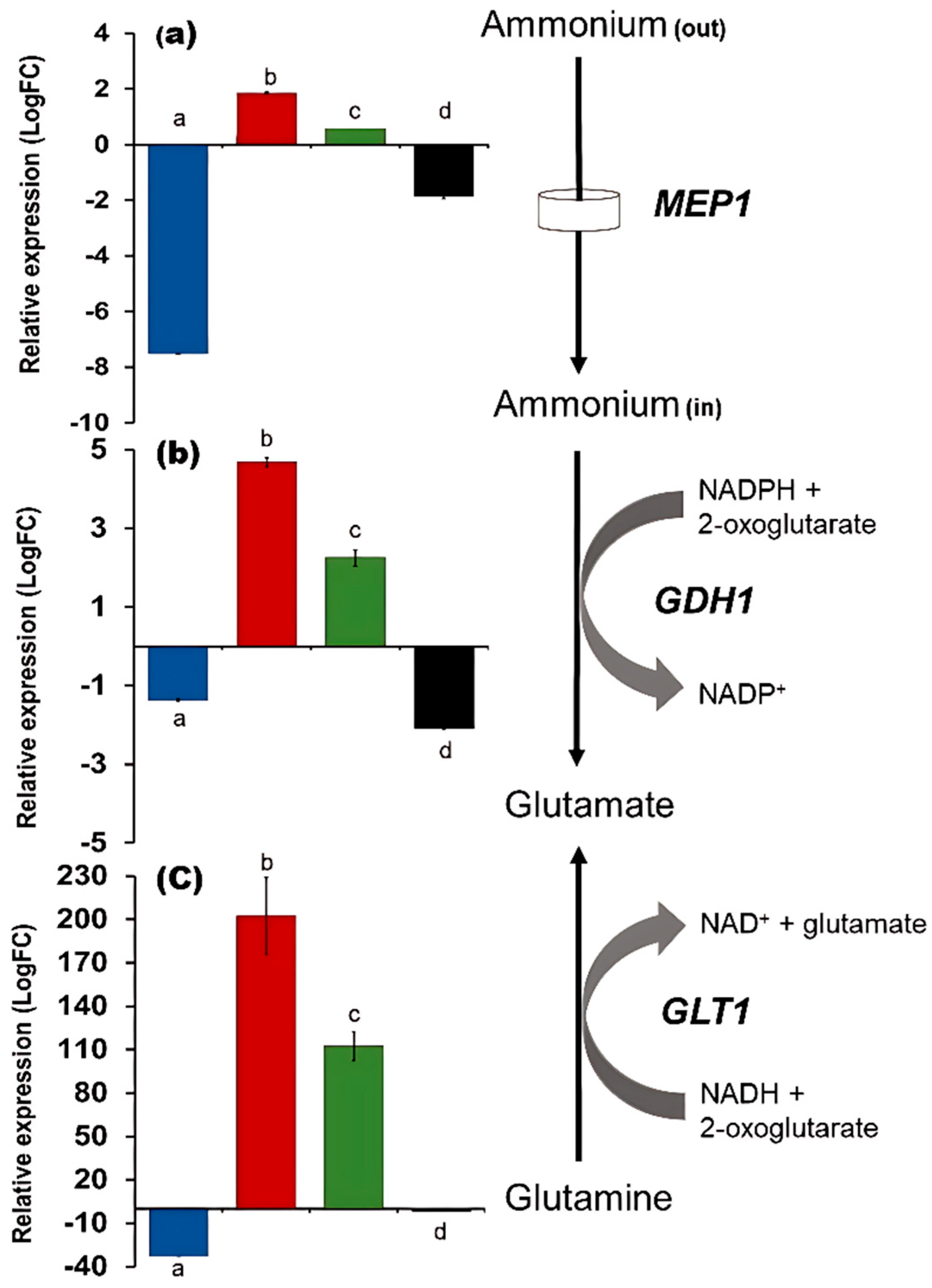 Microbiolres 16 00143 g003