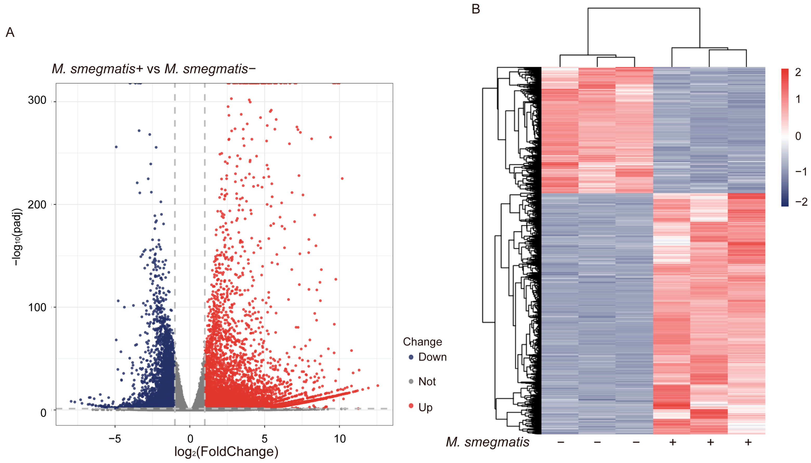 Microbiolres 16 00146 g002