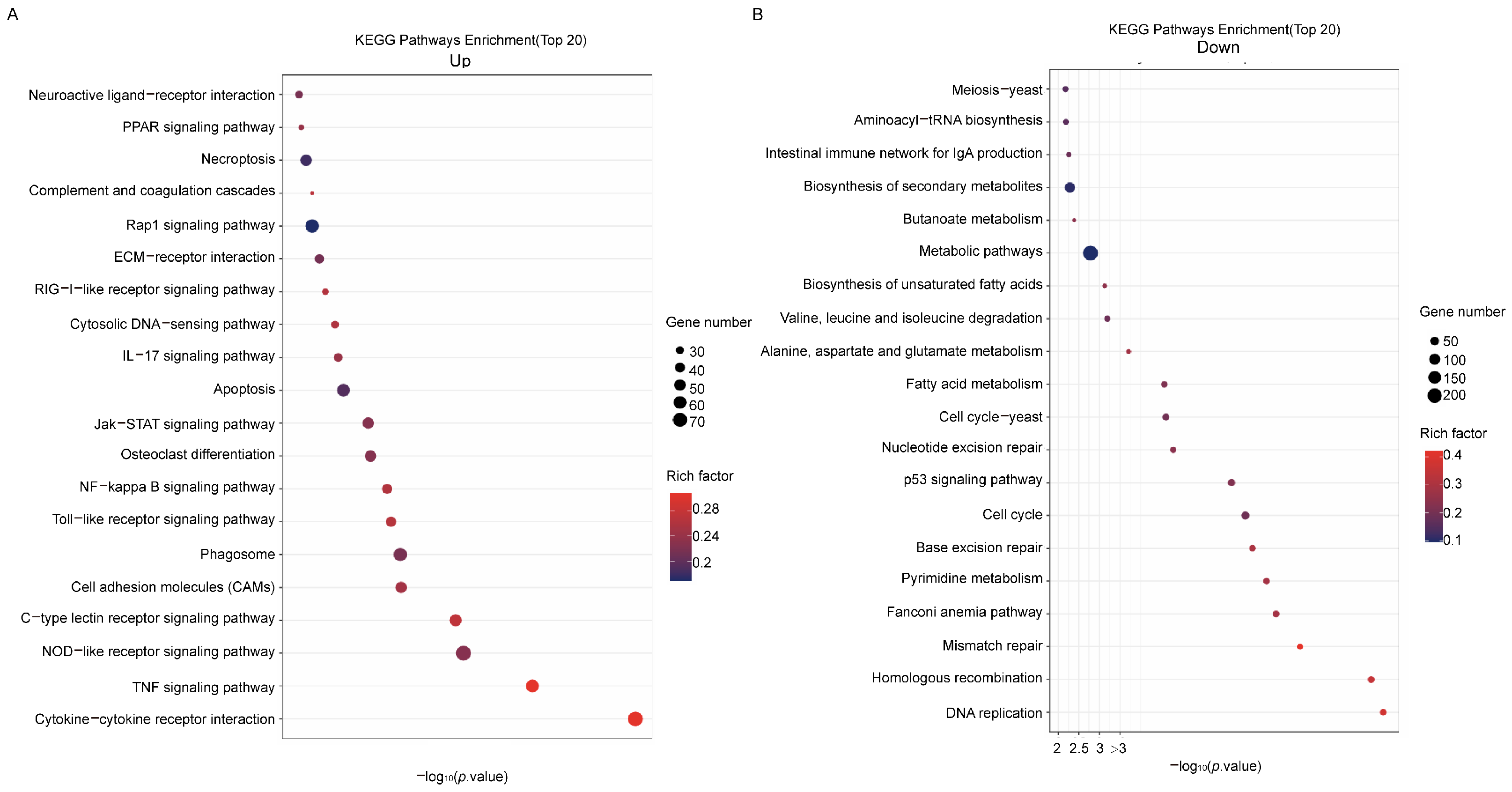 Microbiolres 16 00146 g004