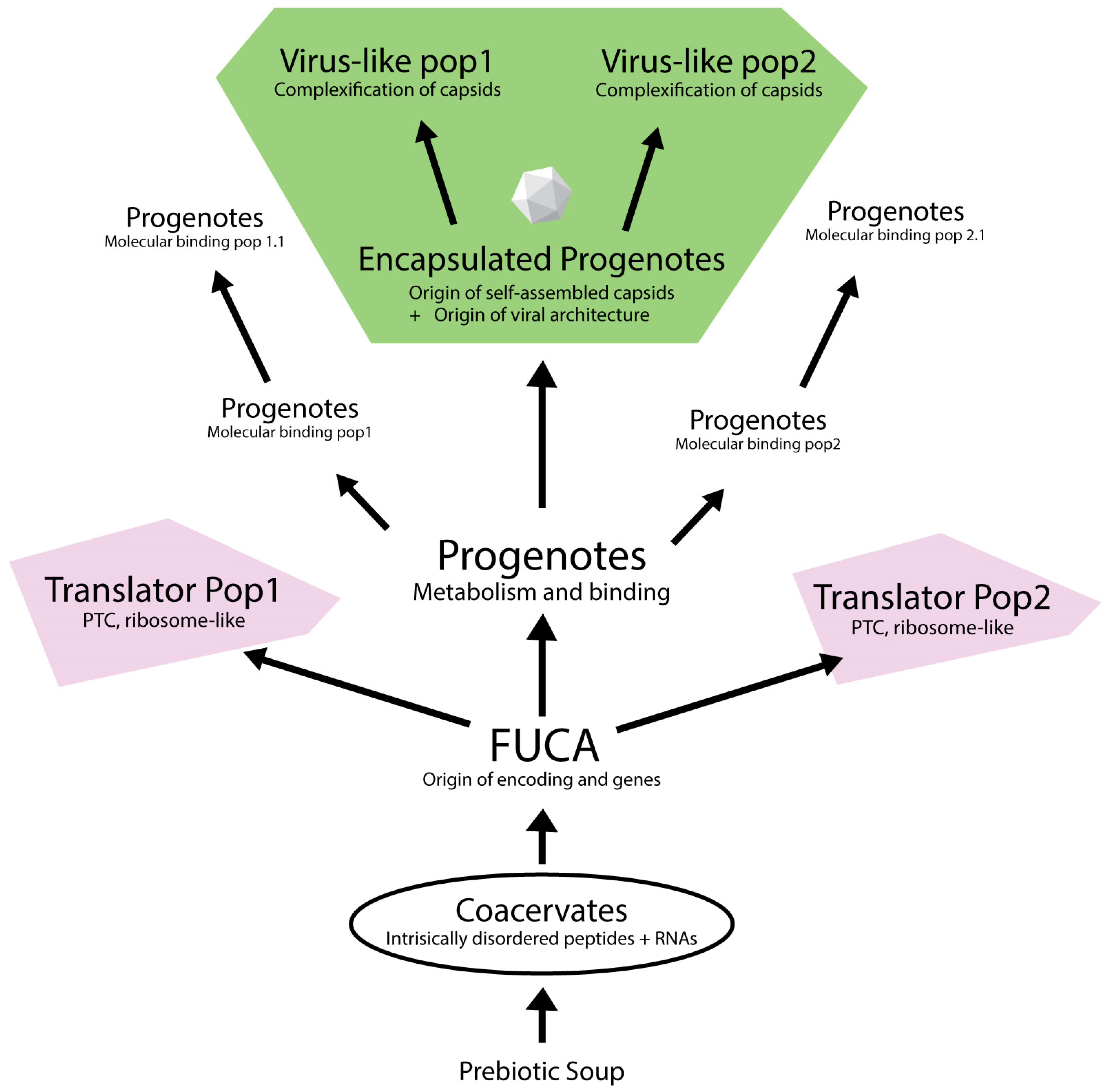 Microbiolres 16 00154 g002