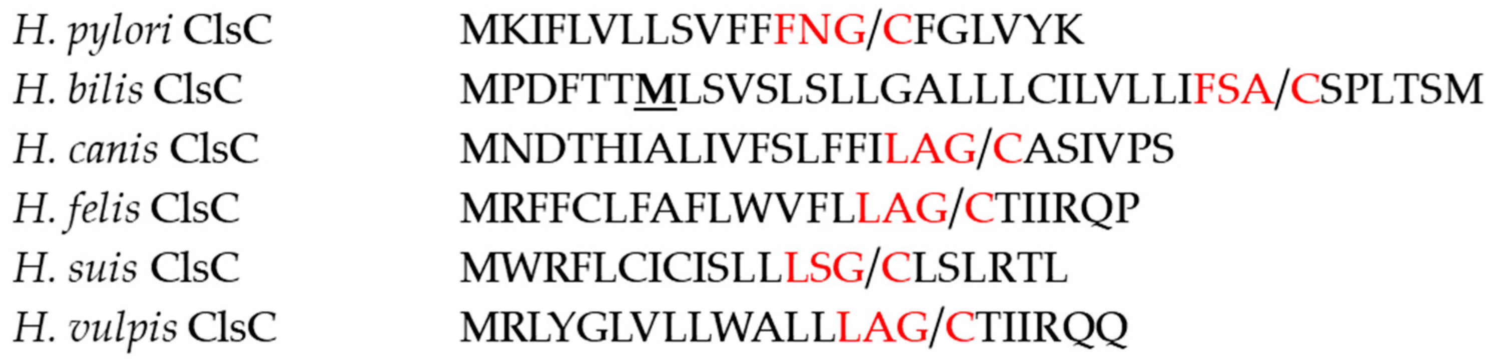 Microbiolres 16 00155 g001