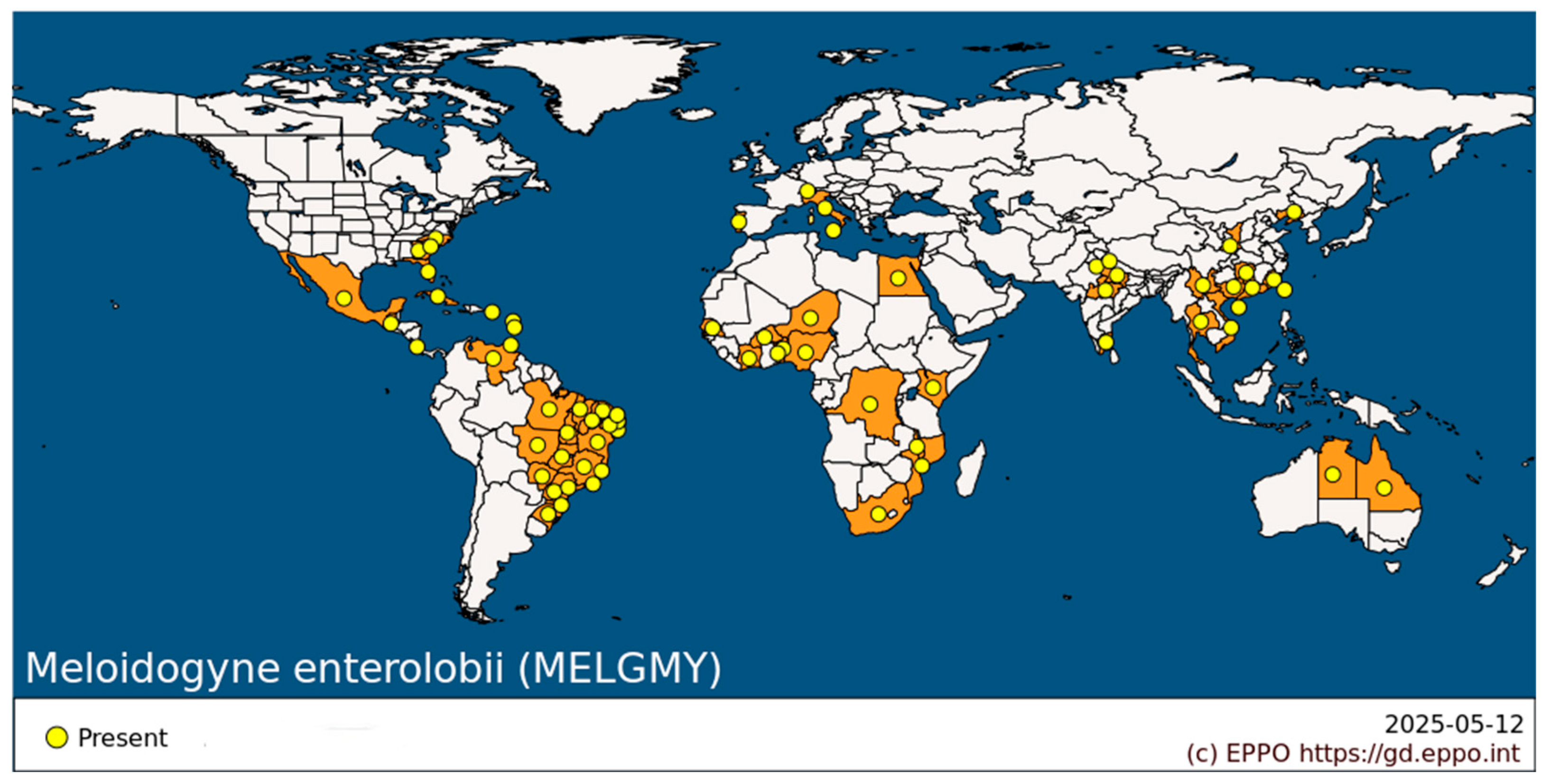 Microbiolres 16 00165 g001