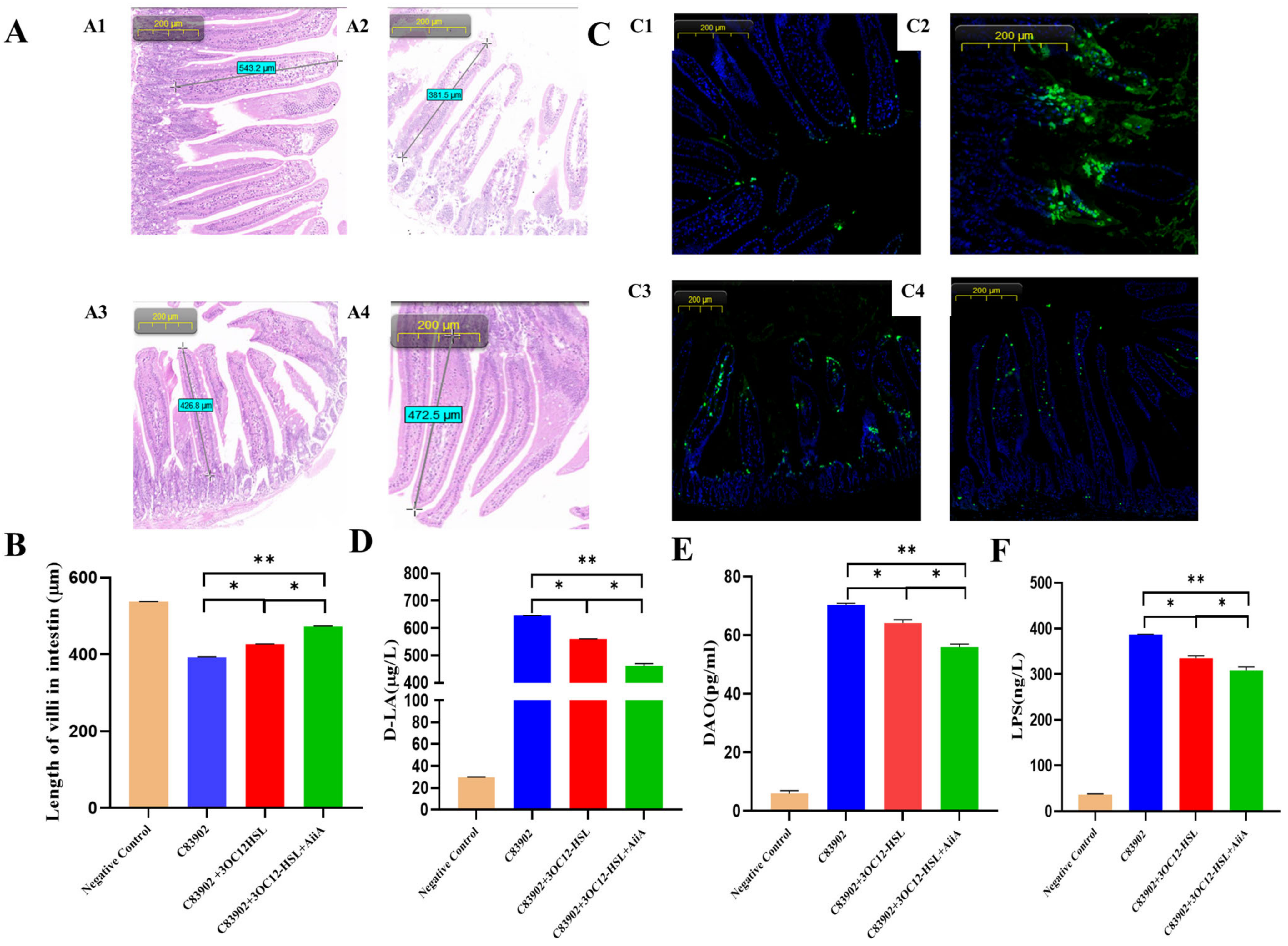 Microbiolres 16 00166 g005 Microbiolres 16 00166 g005