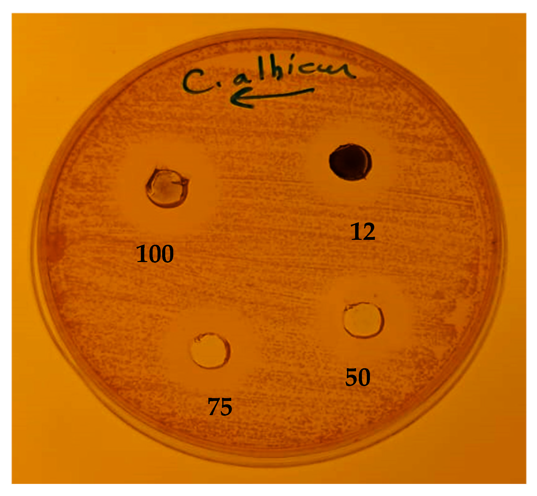 Microbiolres 16 00178 g009 Microbiolres 16 00178 g009