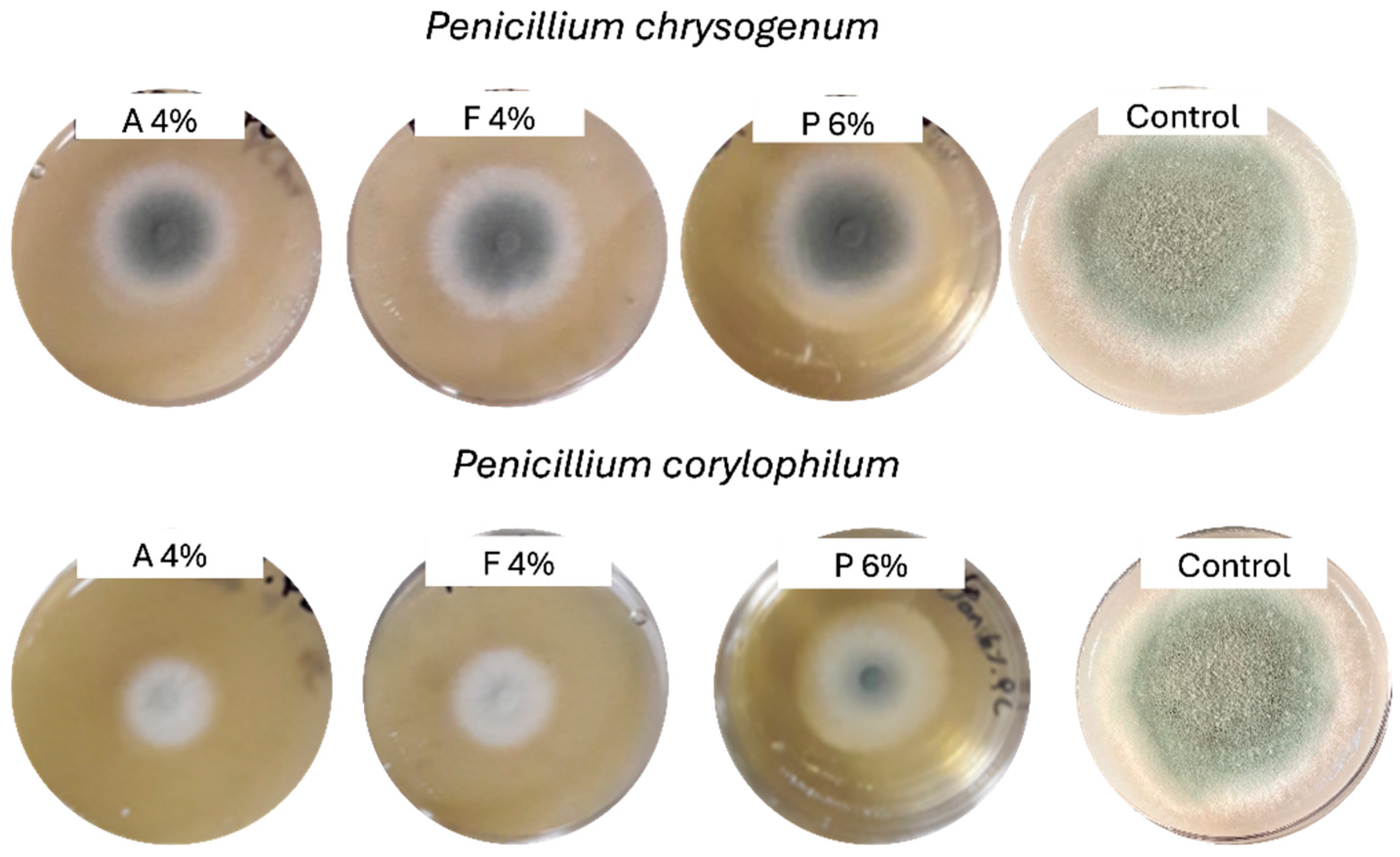 Microbiolres 16 00179 g001 Microbiolres 16 00179 g001
