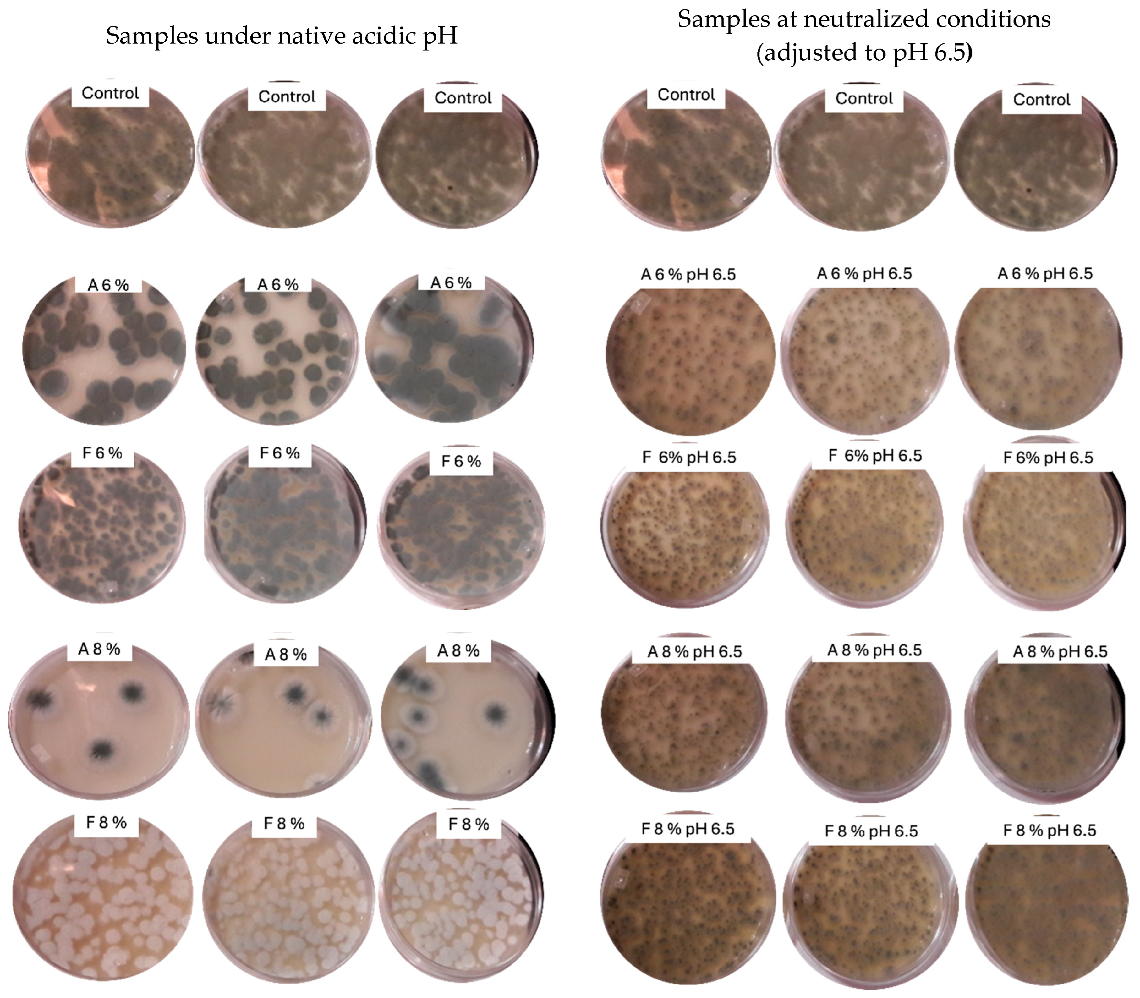 Microbiolres 16 00179 g003 Microbiolres 16 00179 g003