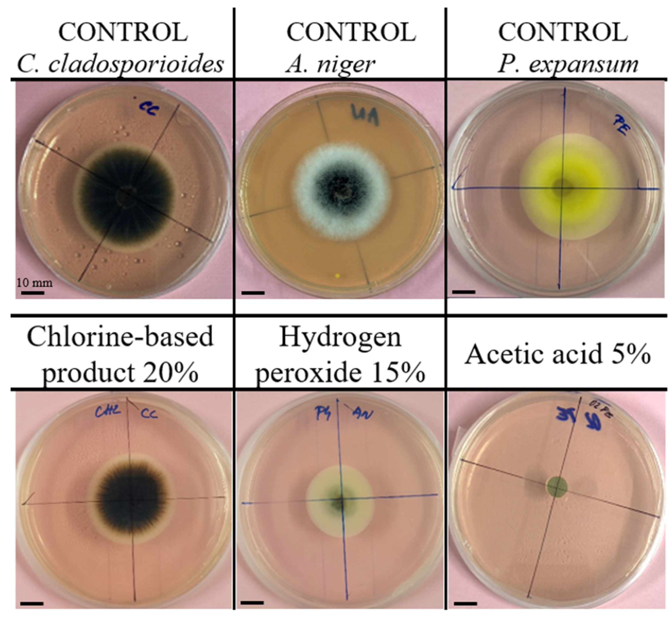 Microbiolres 16 00182 g001