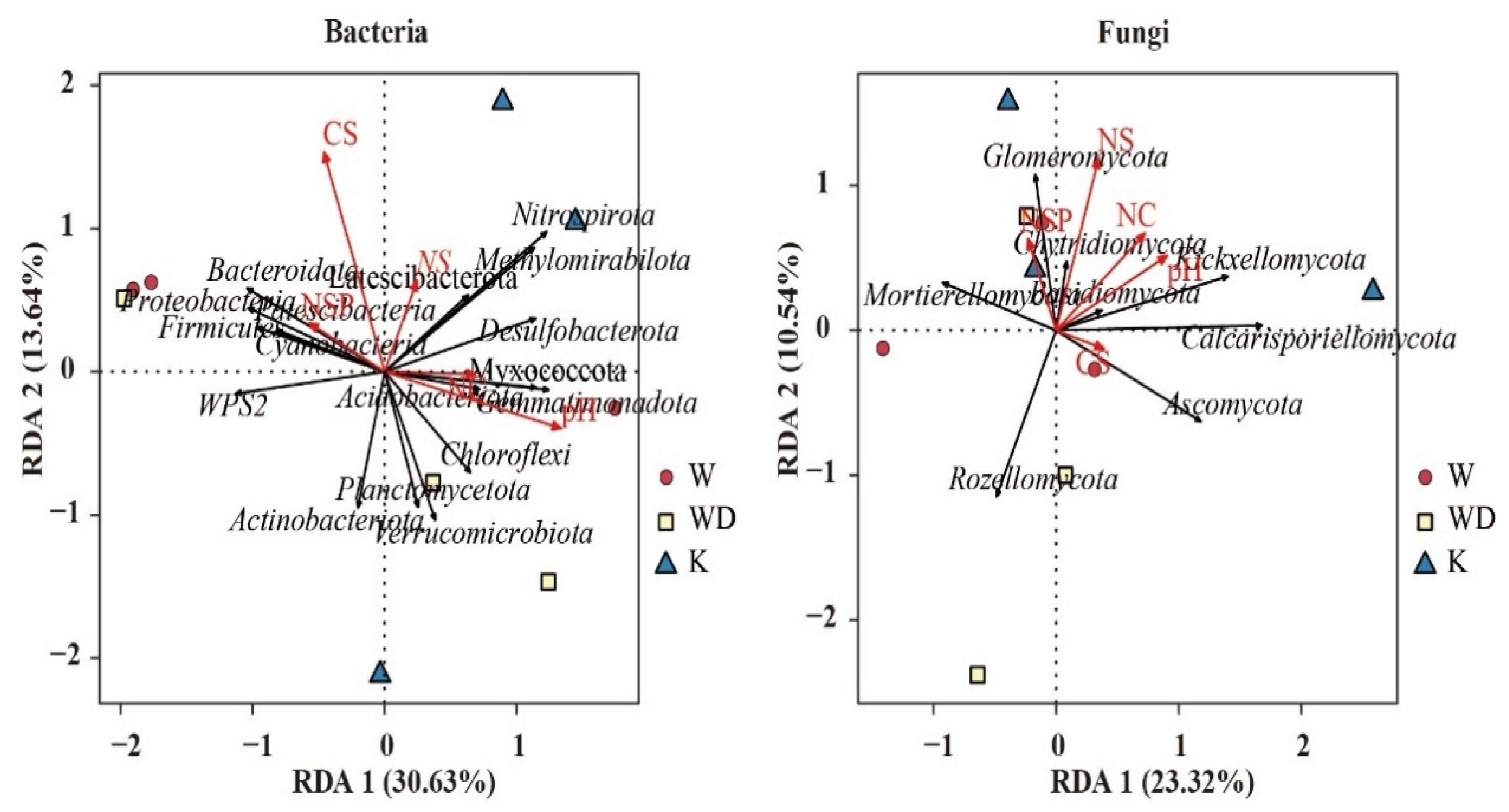 Microbiolres 16 00192 g008
