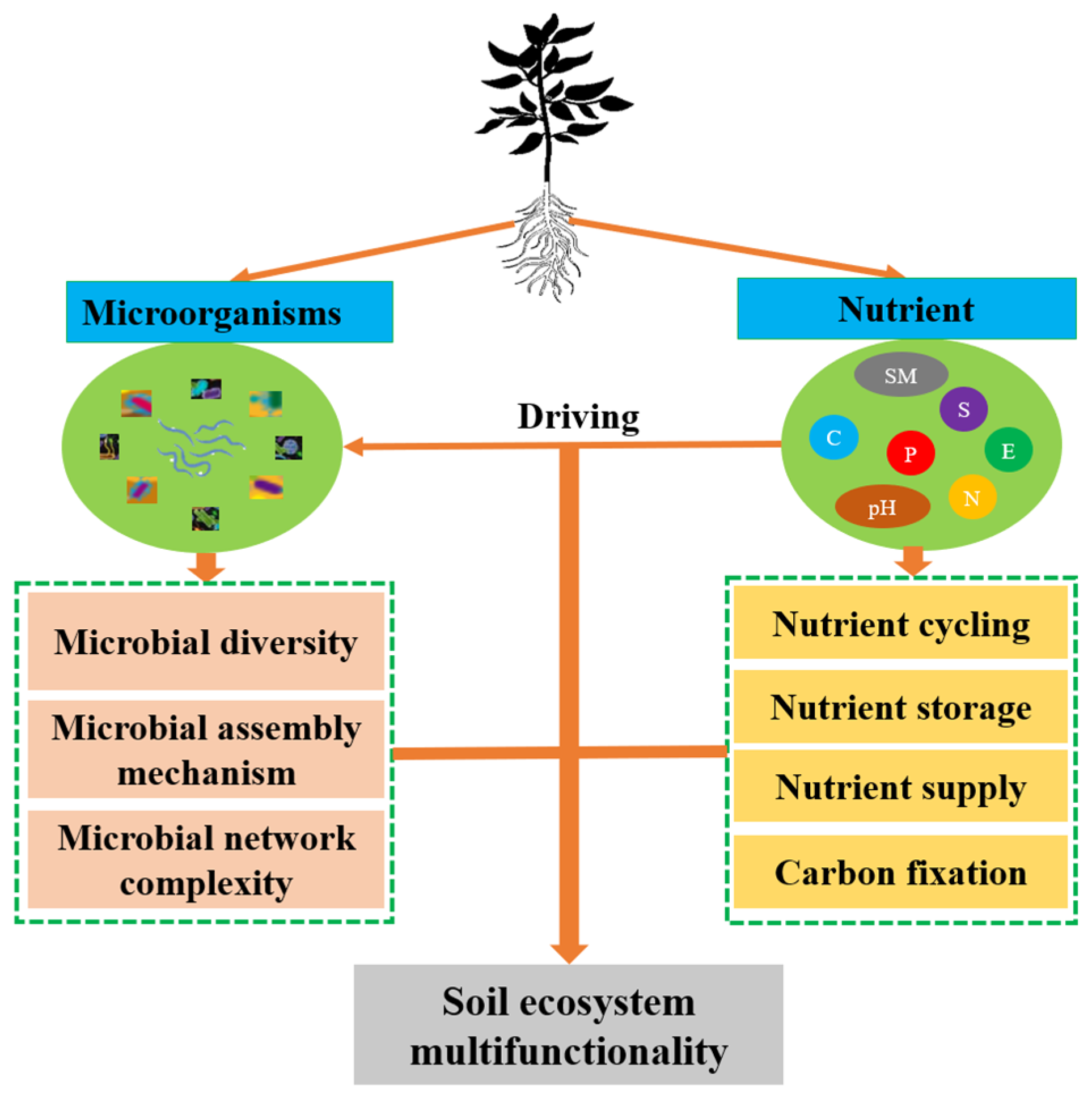 Microbiolres 16 00192 g009