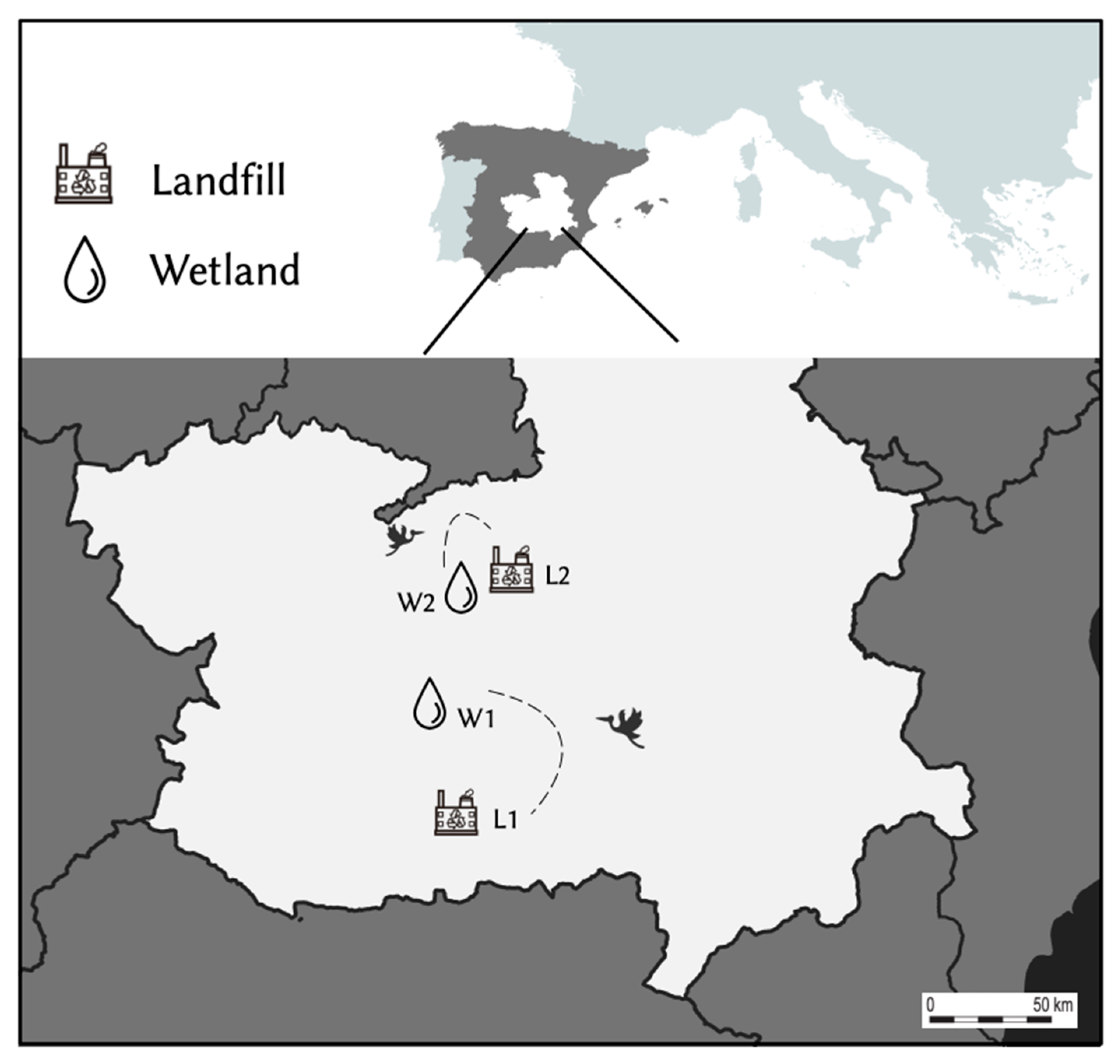 Microbiolres 16 00202 g001 Microbiolres 16 00202 g001