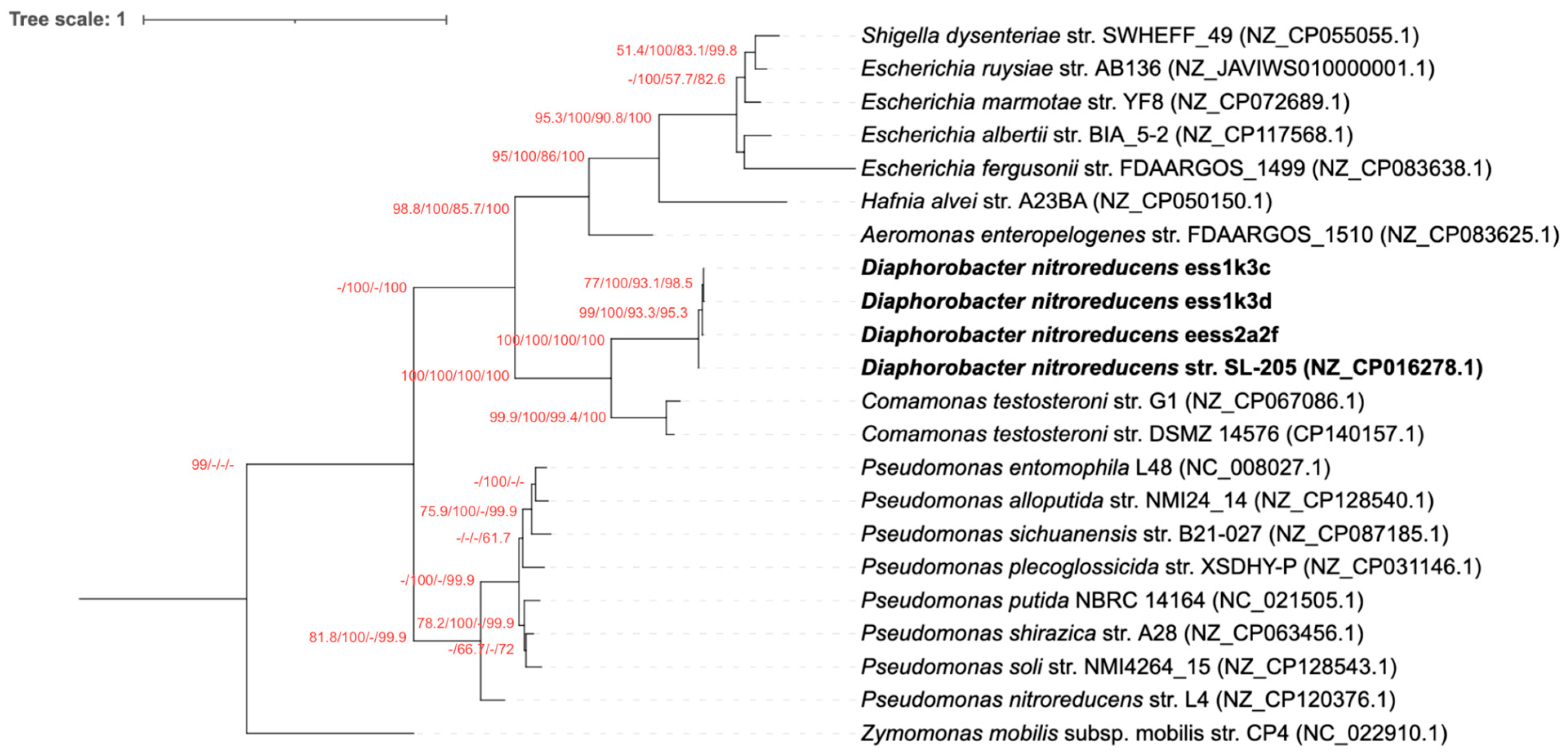 Microbiolres 16 00212 g001 Microbiolres 16 00212 g001