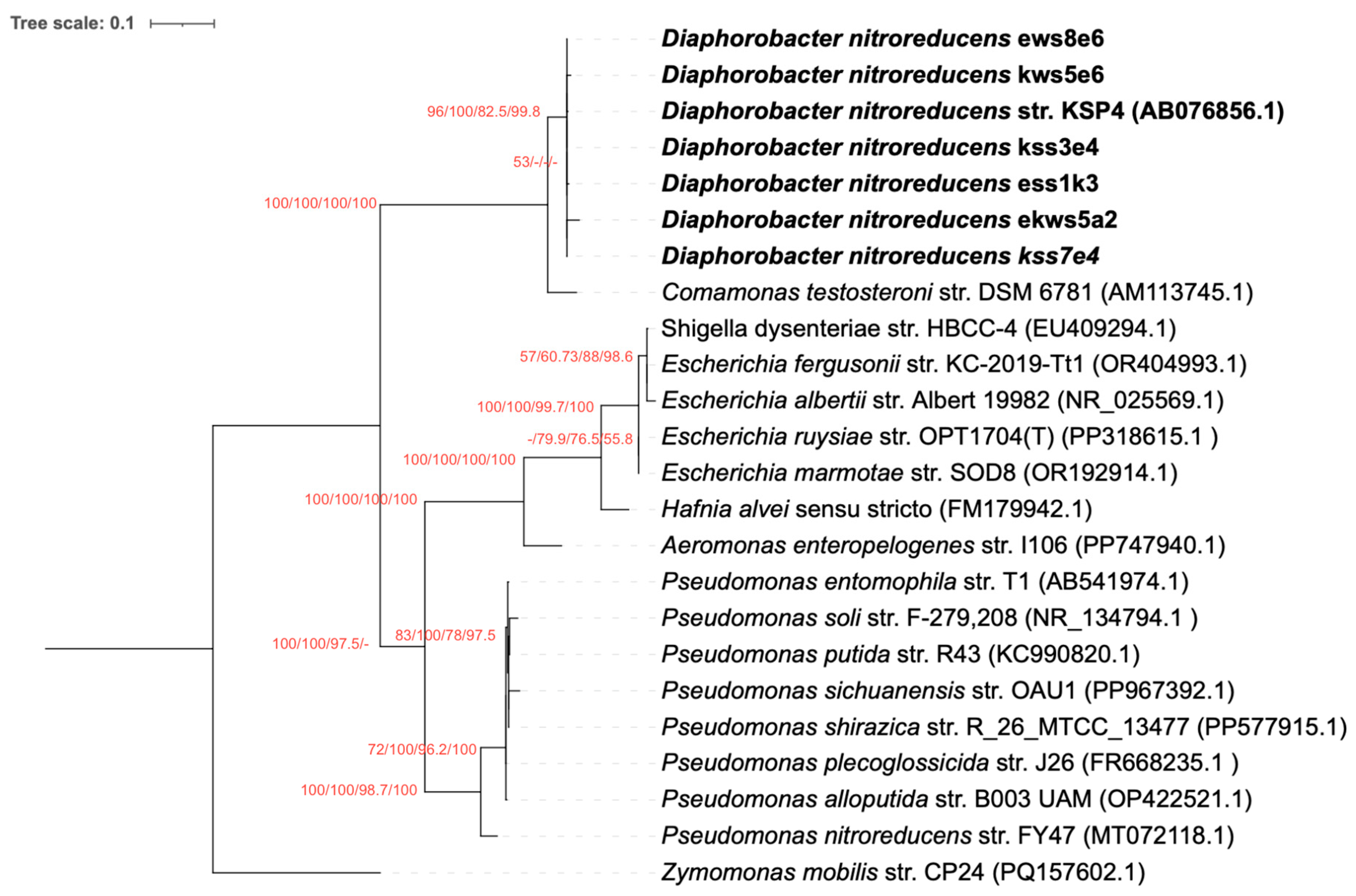 Microbiolres 16 00212 g002 Microbiolres 16 00212 g002