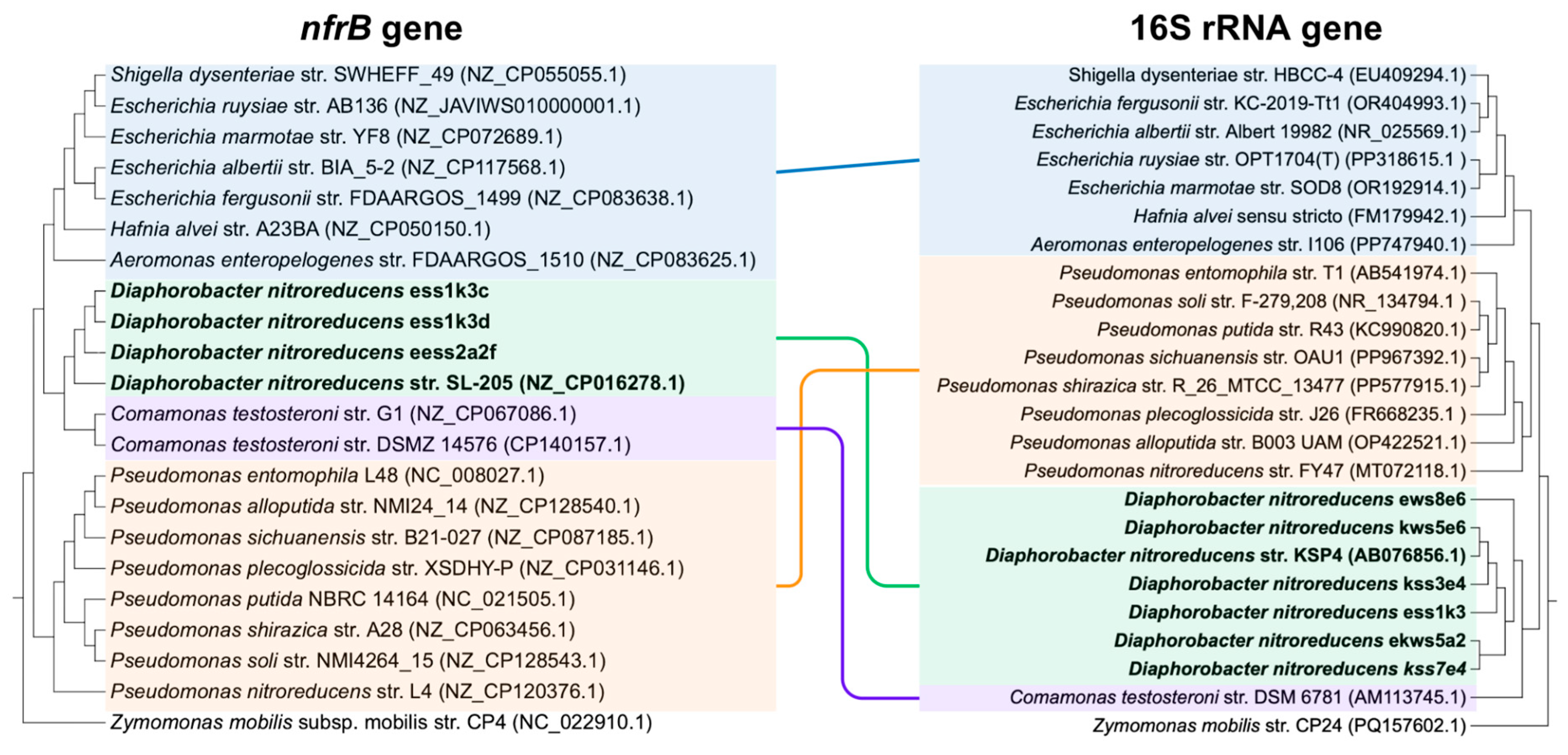 Microbiolres 16 00212 g003 Microbiolres 16 00212 g003