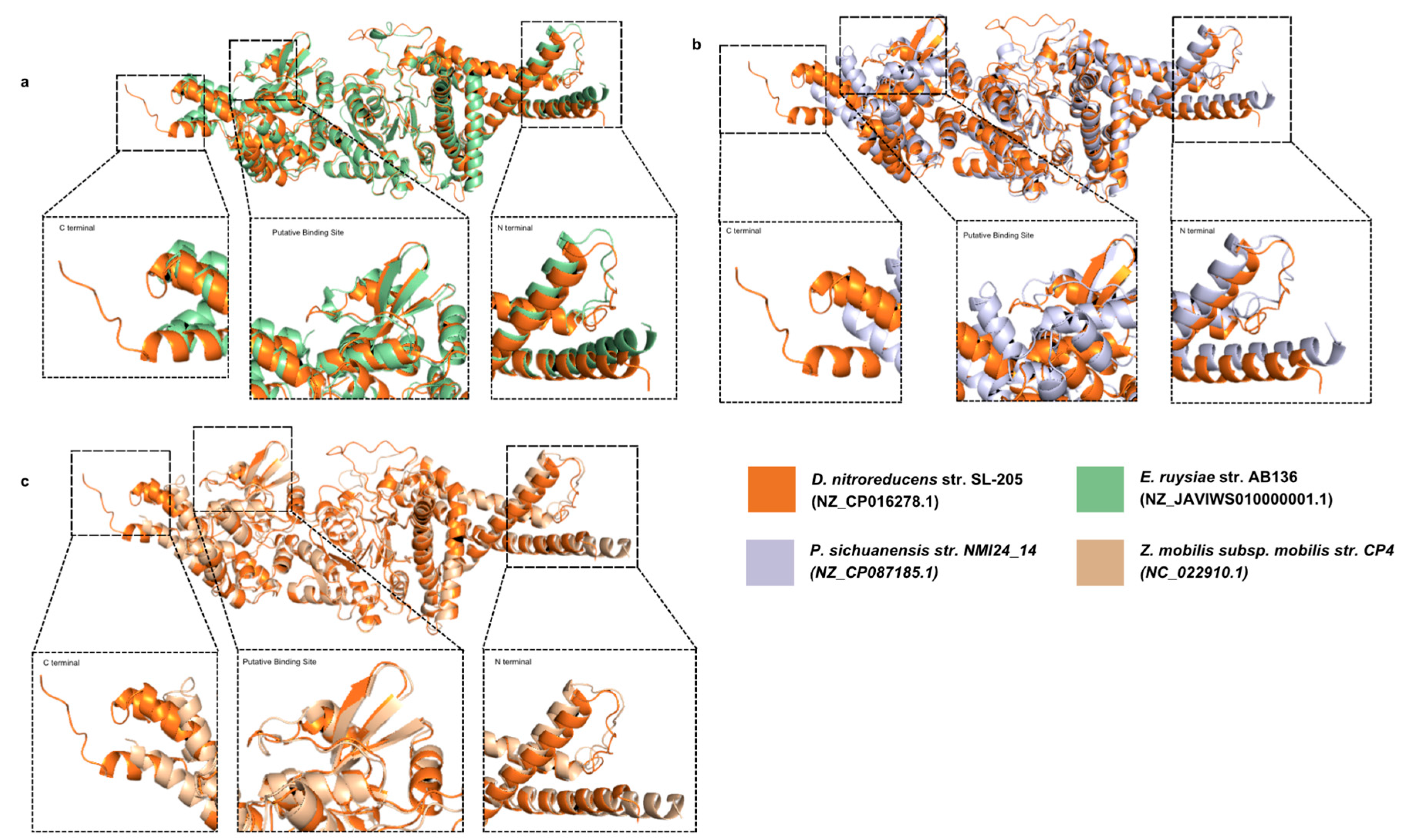 Microbiolres 16 00212 g005 Microbiolres 16 00212 g005
