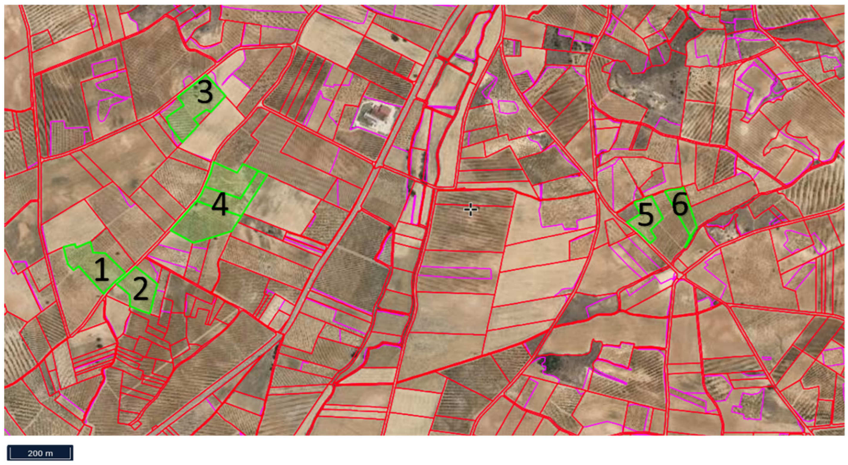 Microbiolres 16 00217 g001 Microbiolres 16 00217 g001