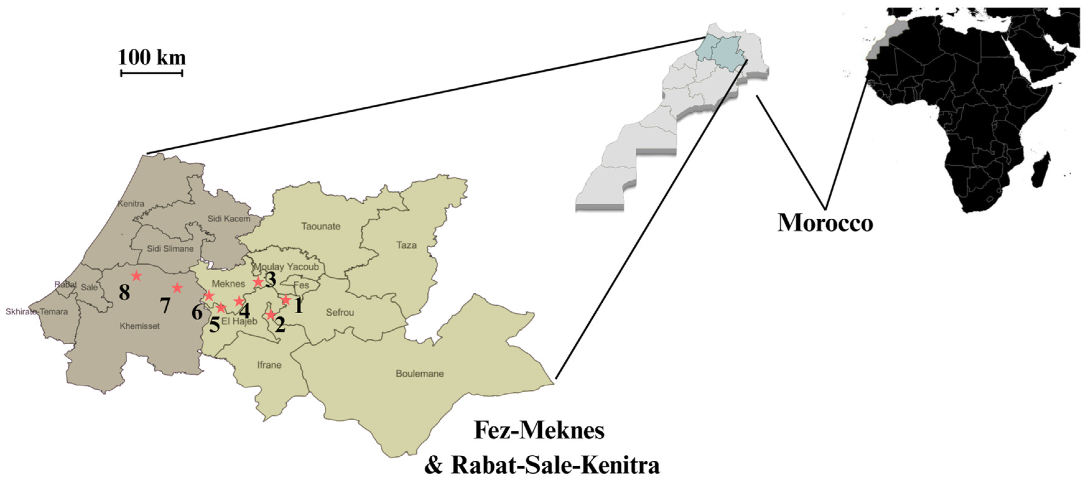 Microbiolres 16 00219 g001 Microbiolres 16 00219 g001