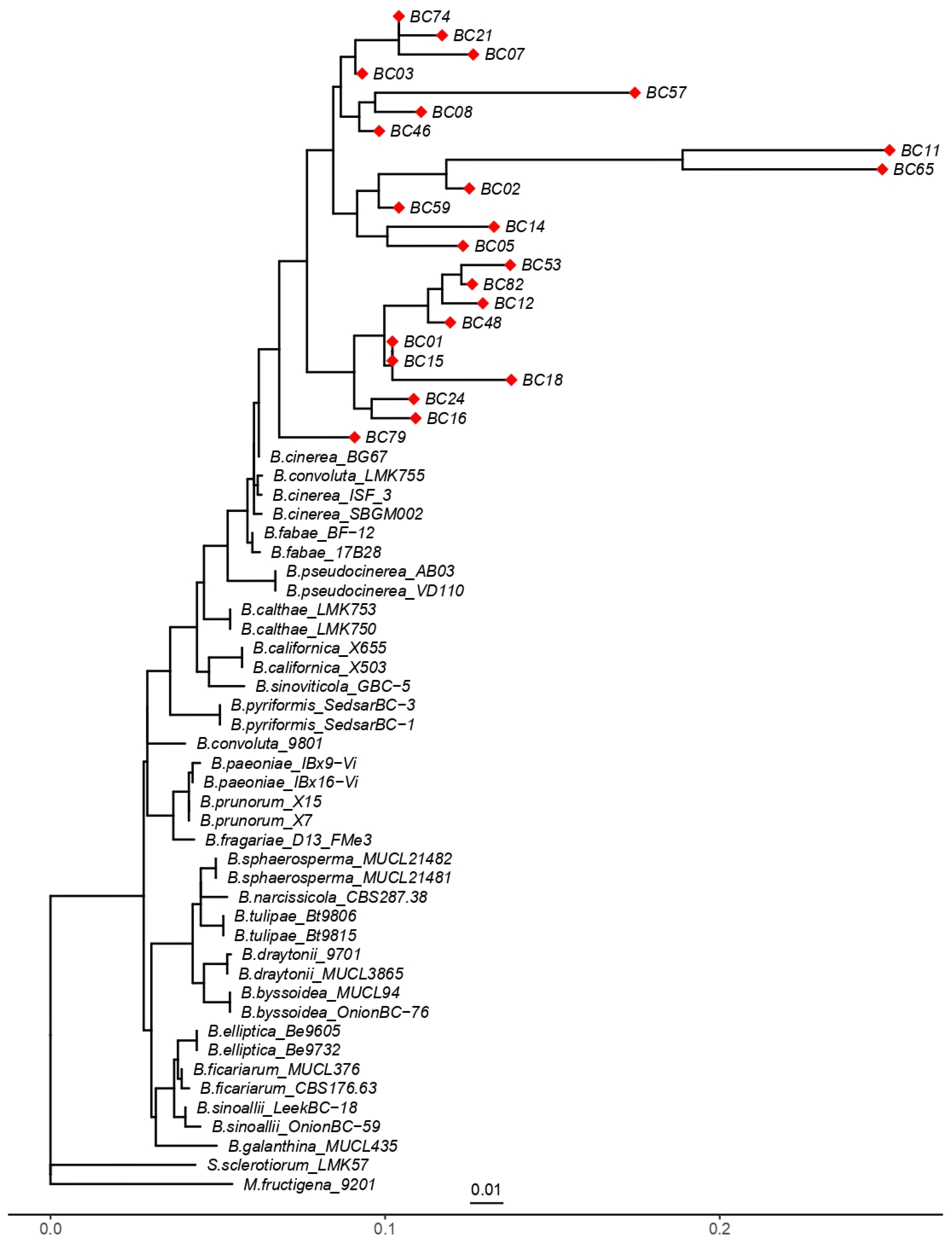 Microbiolres 16 00219 g008 Microbiolres 16 00219 g008