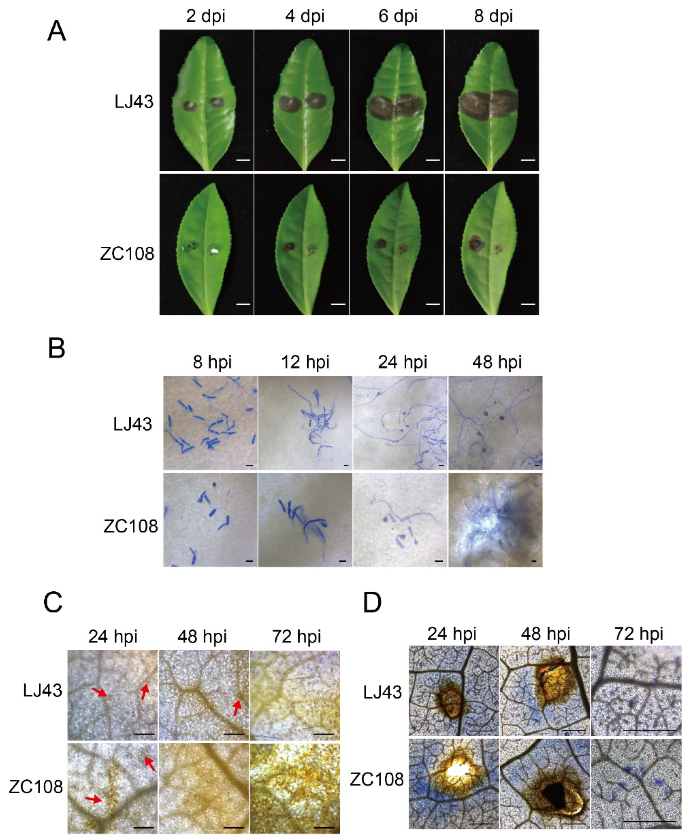 Microbiolres 16 00220 g003 Microbiolres 16 00220 g003