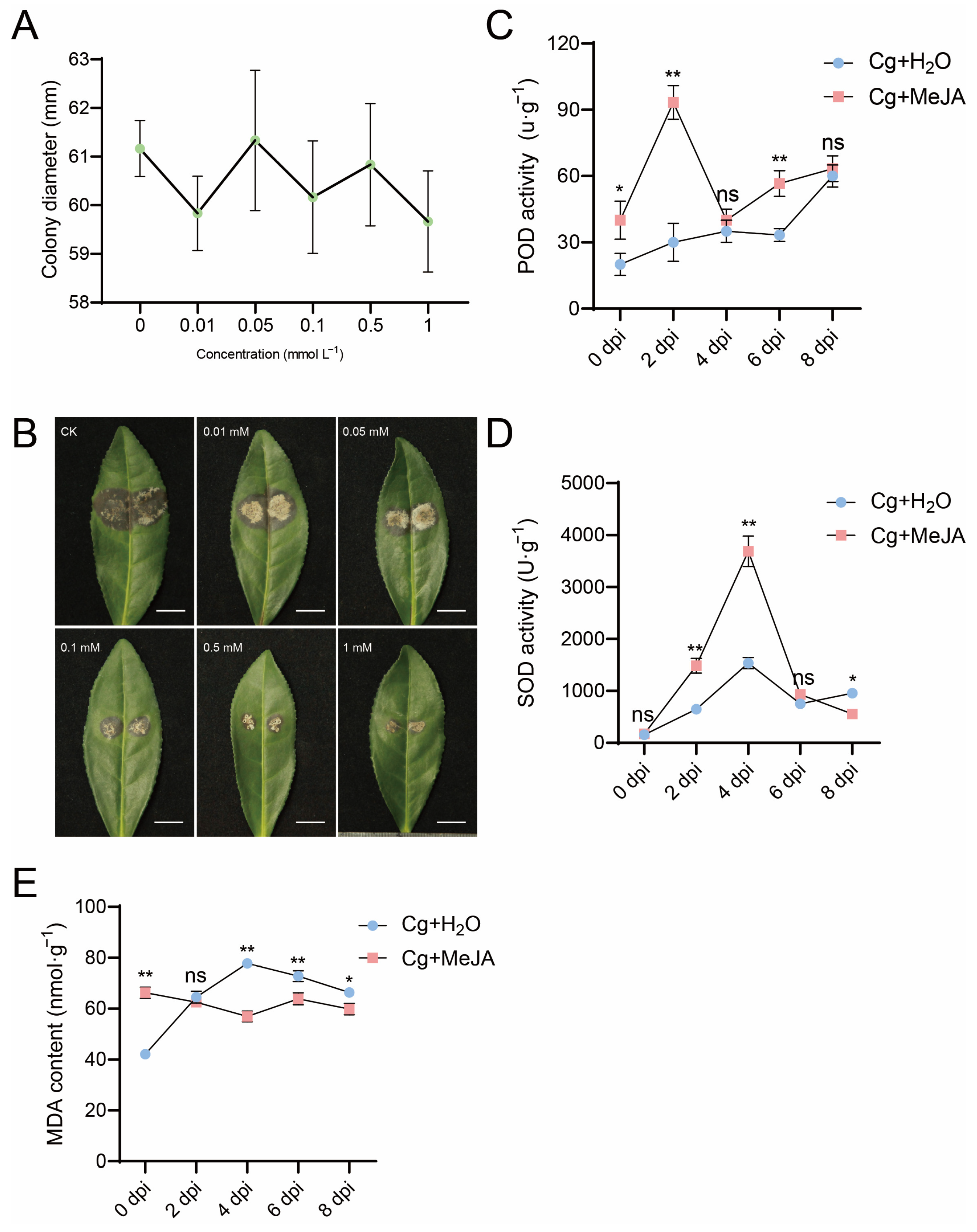Microbiolres 16 00220 g004 Microbiolres 16 00220 g004