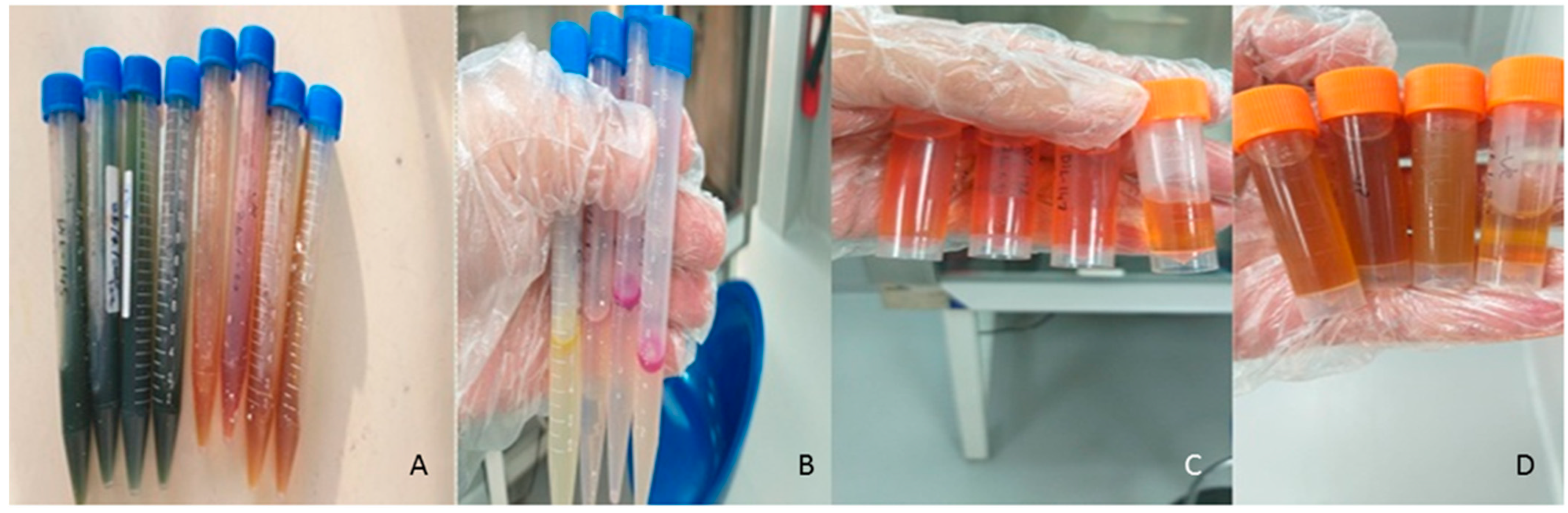 Microbiolres 16 00222 g002 Microbiolres 16 00222 g002