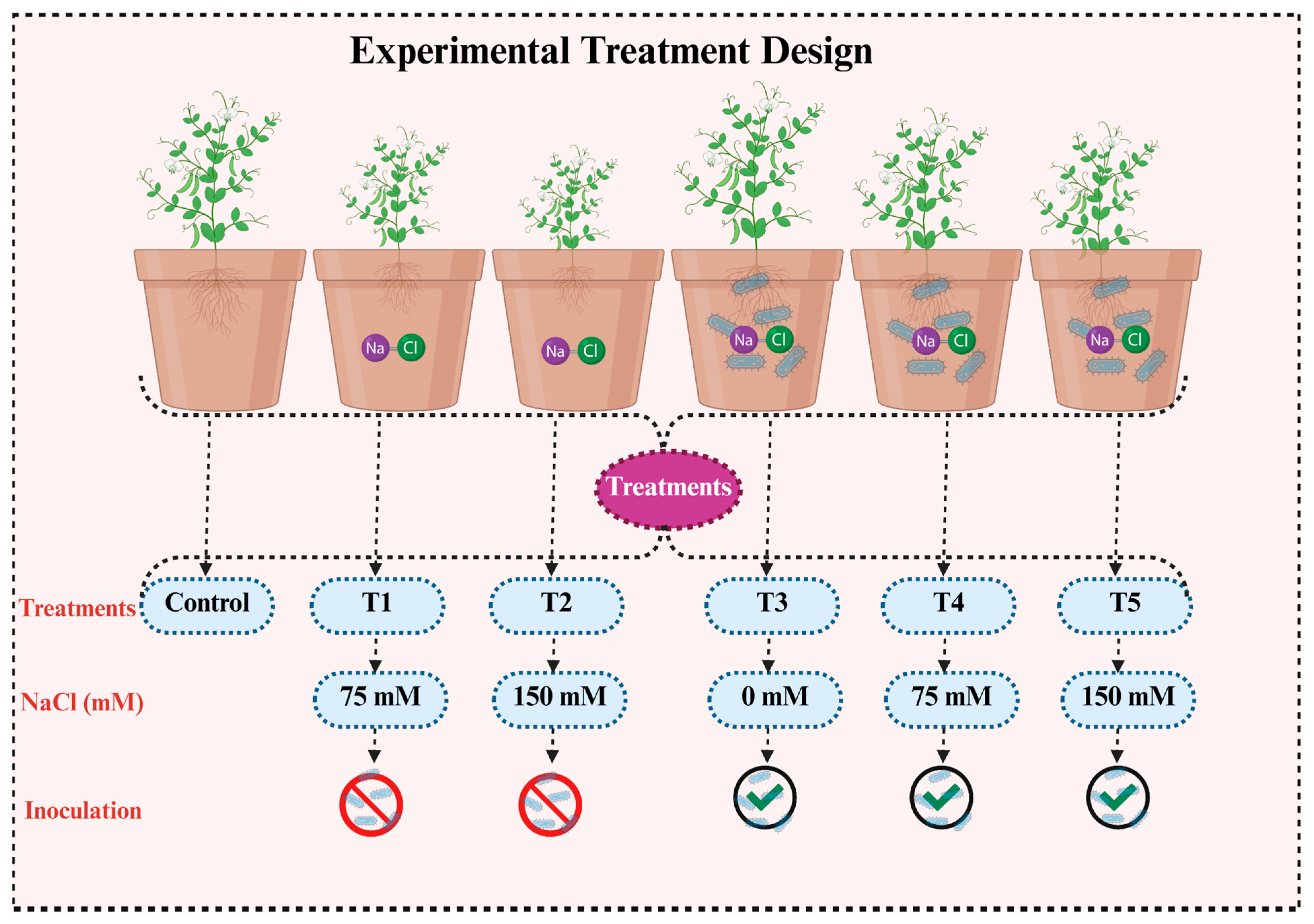 Microbiolres 16 00227 g001 Microbiolres 16 00227 g001