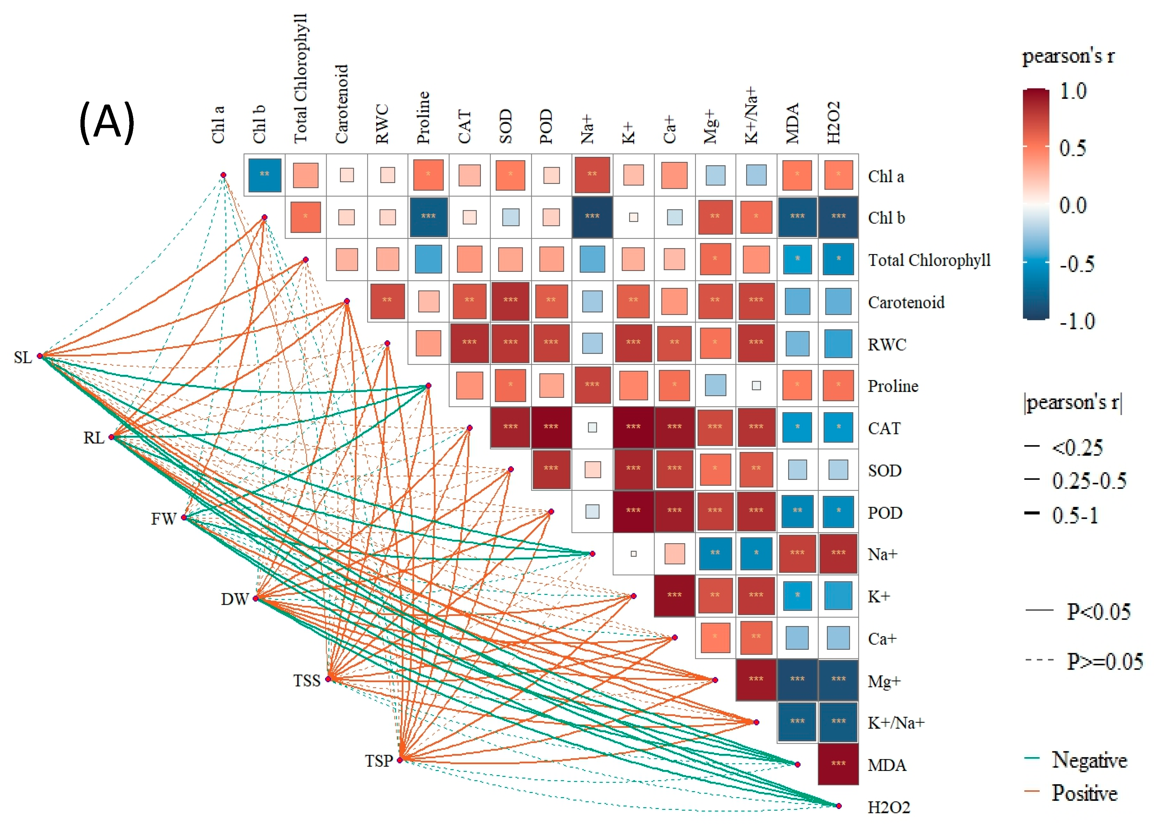 Microbiolres 16 00227 g010a Microbiolres 16 00227 g010a