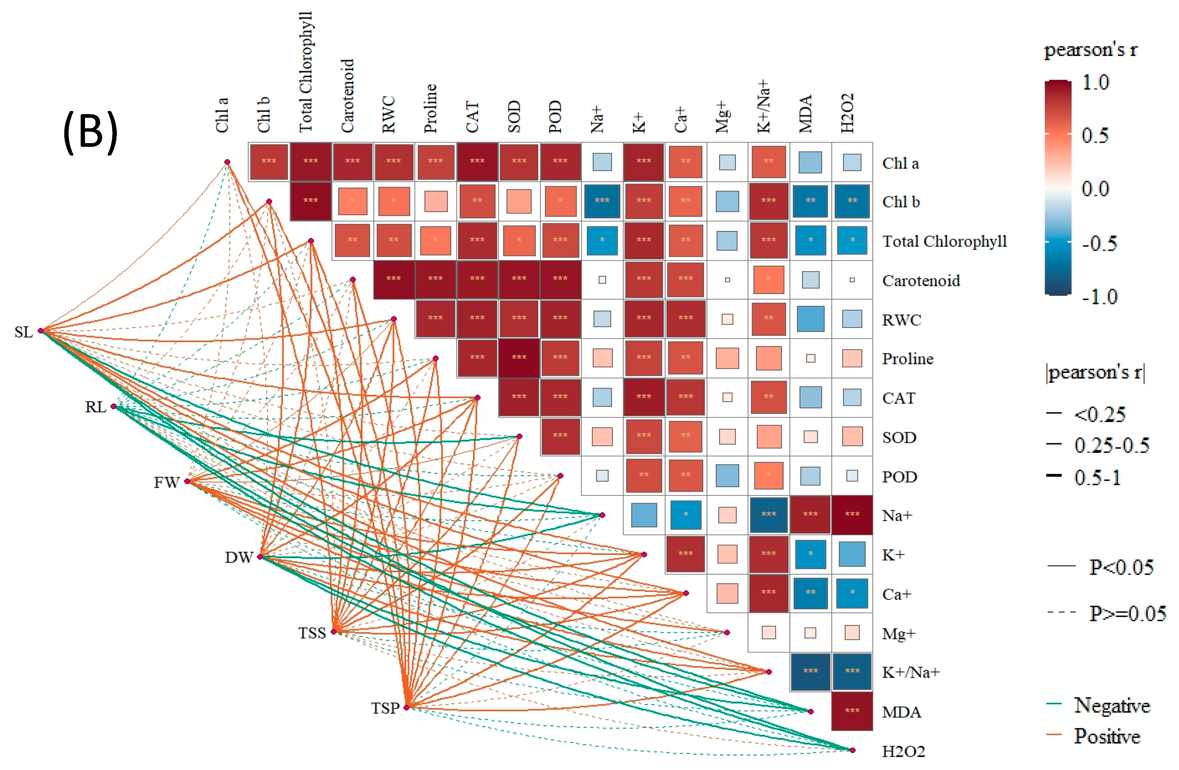 Microbiolres 16 00227 g010b Microbiolres 16 00227 g010b