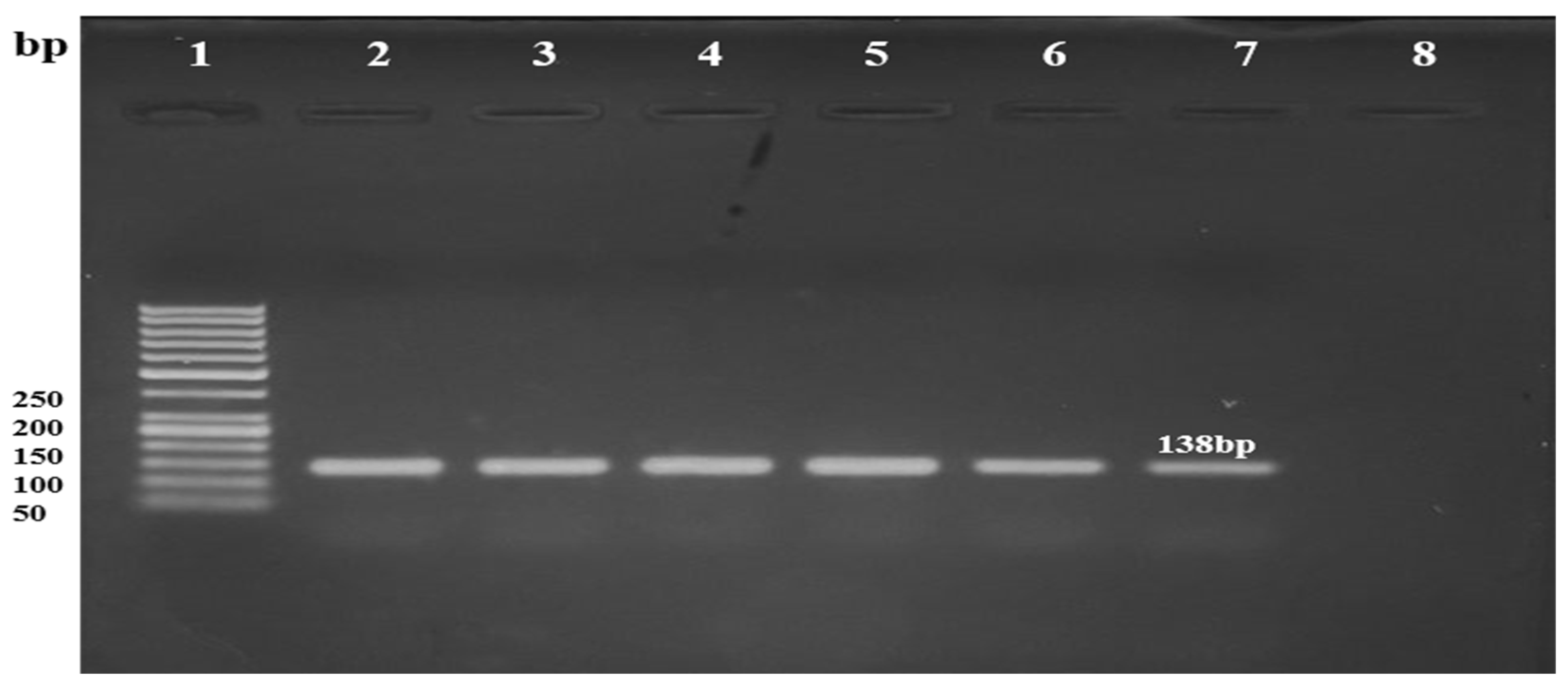 Microbiolres 16 00232 g002 Microbiolres 16 00232 g002