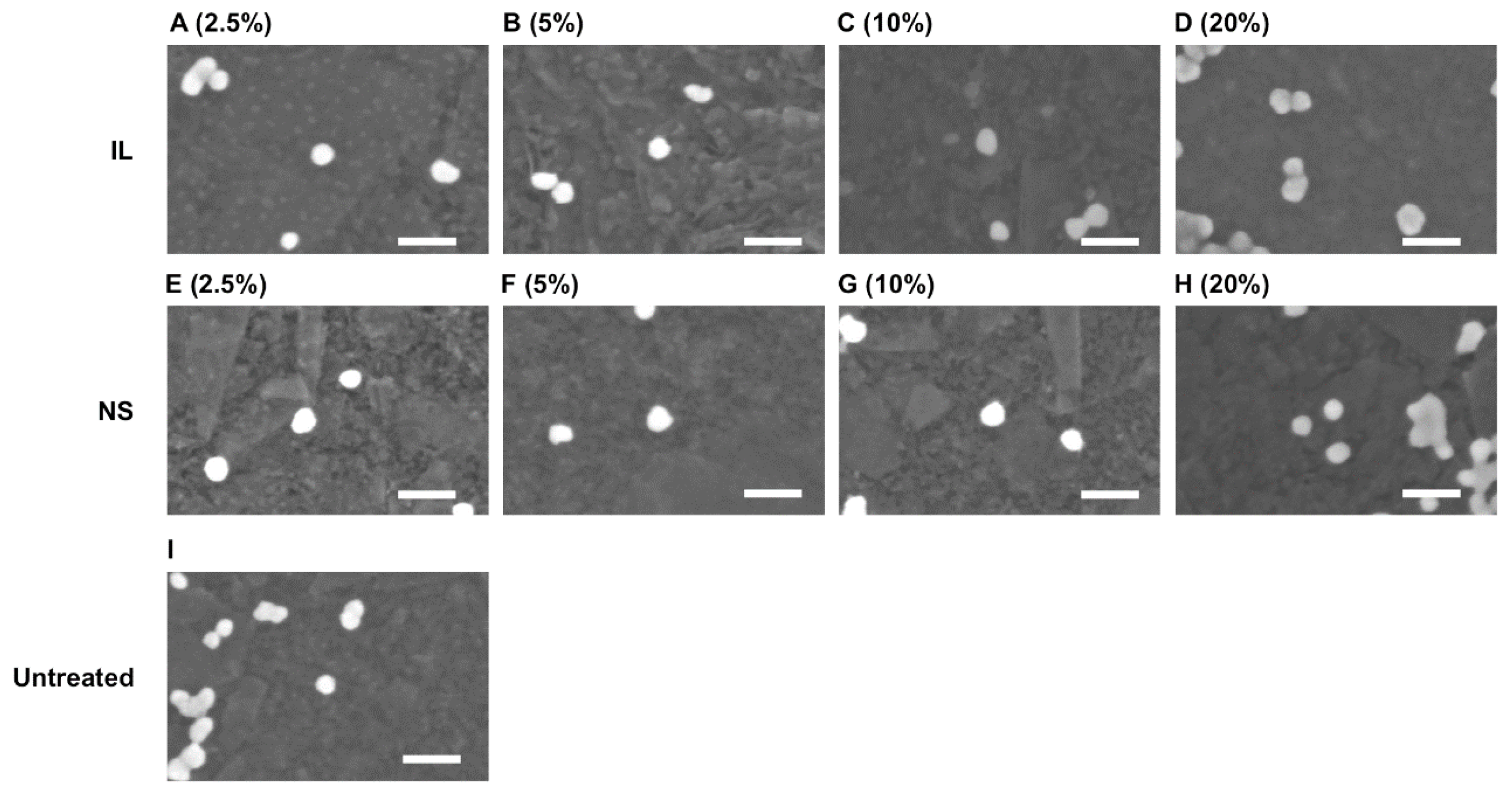 Microbiolres 16 00234 g002 Microbiolres 16 00234 g002