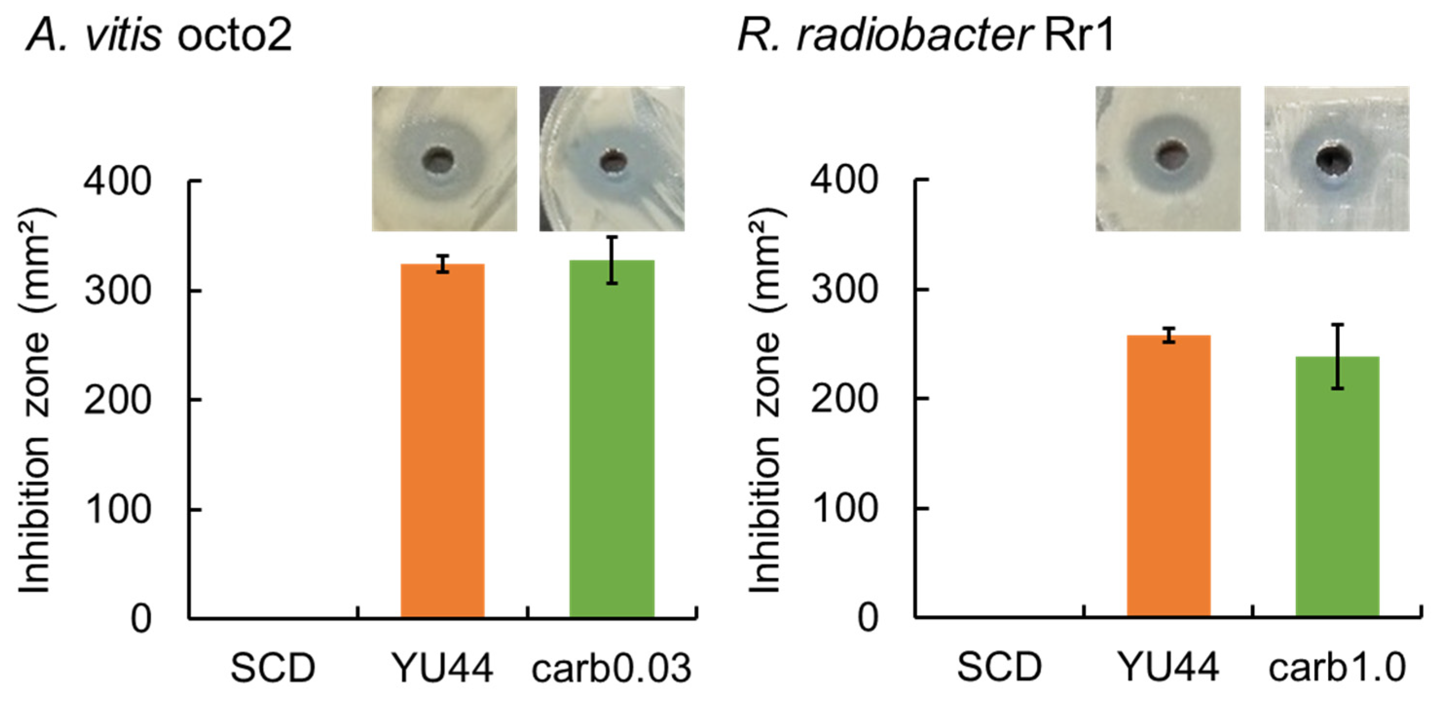 Microbiolres 16 00235 g002