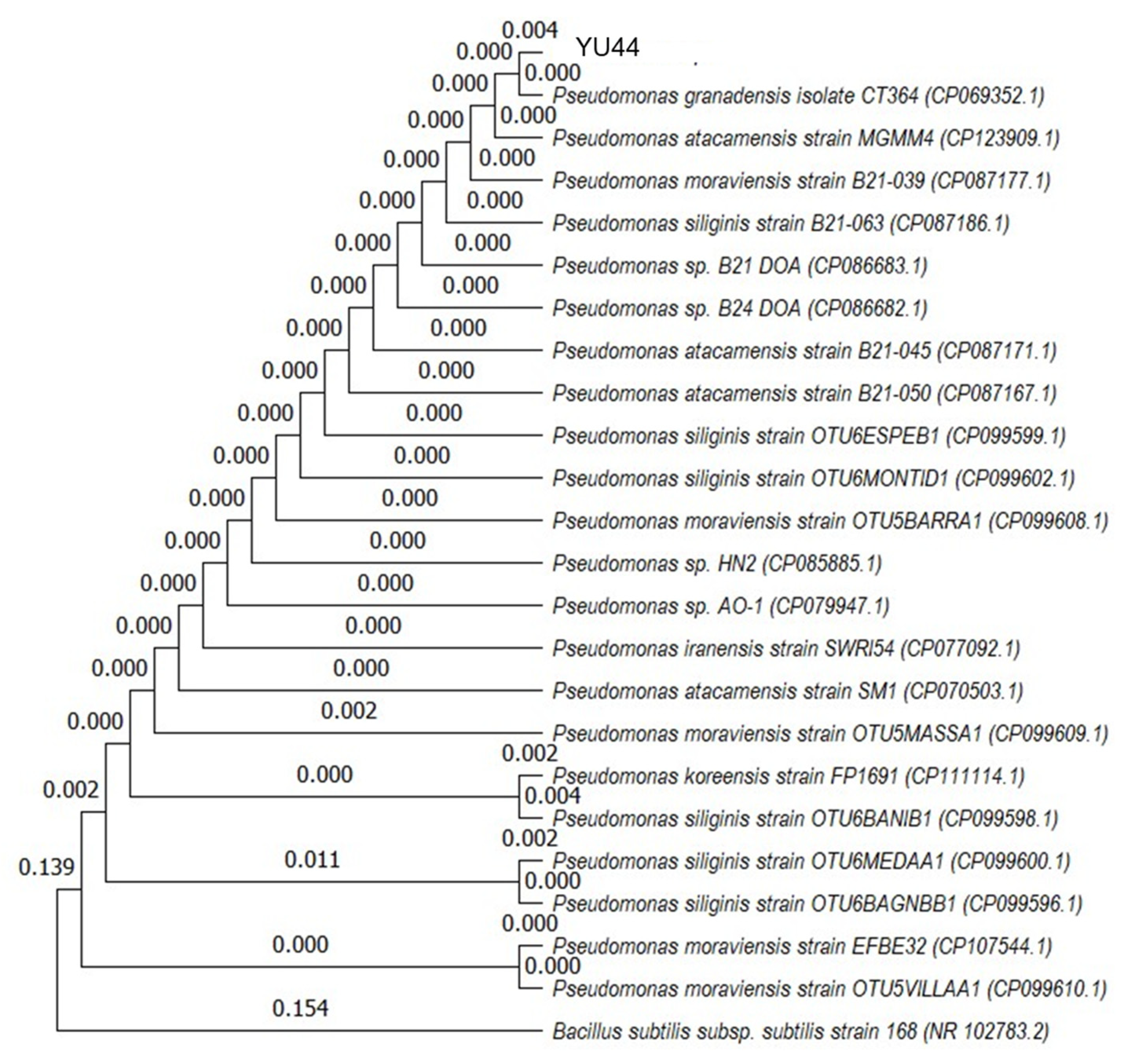 Microbiolres 16 00235 g003