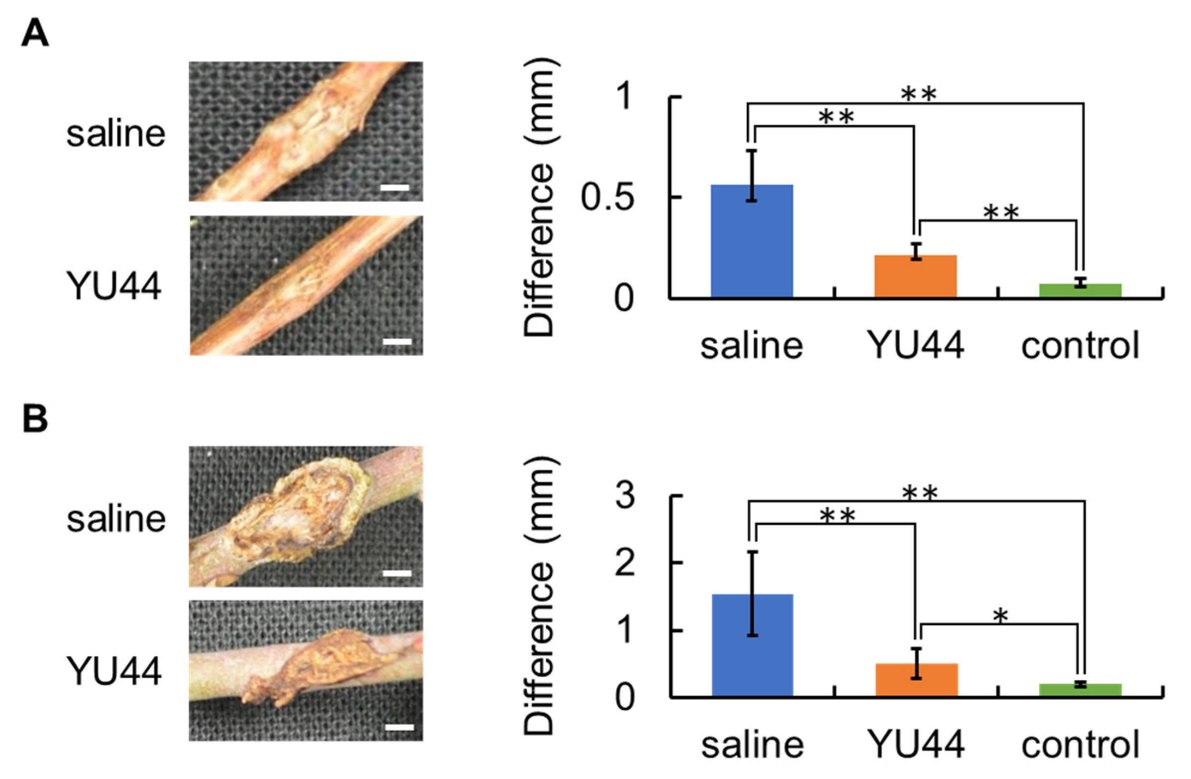 Microbiolres 16 00235 g004