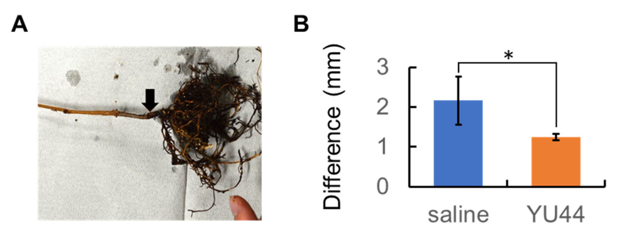 Microbiolres 16 00235 g005