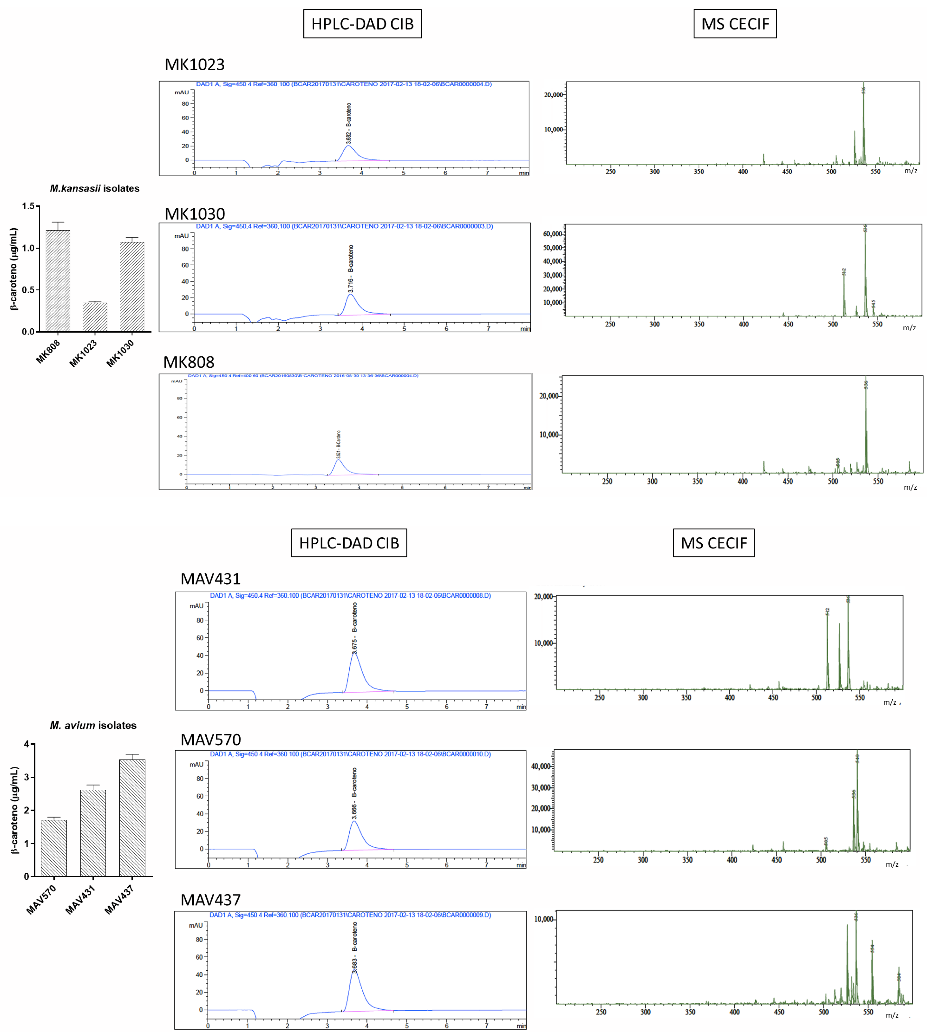 Microbiolres 16 00239 g0a5b