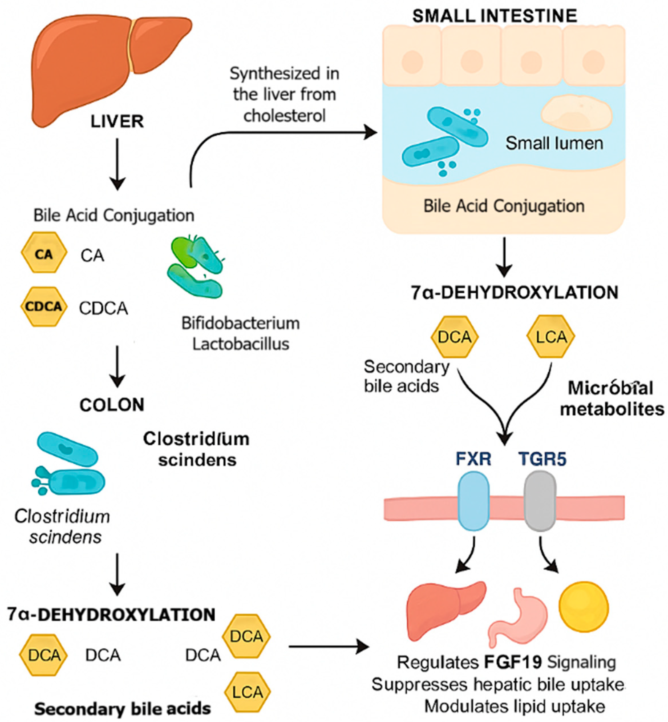 Microbiolres 16 00241 g001 Microbiolres 16 00241 g001