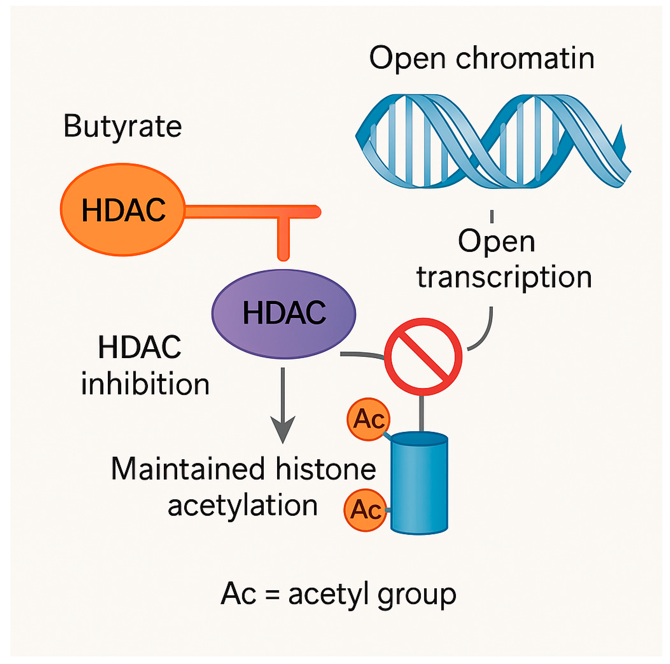 Microbiolres 16 00241 g002 Microbiolres 16 00241 g002