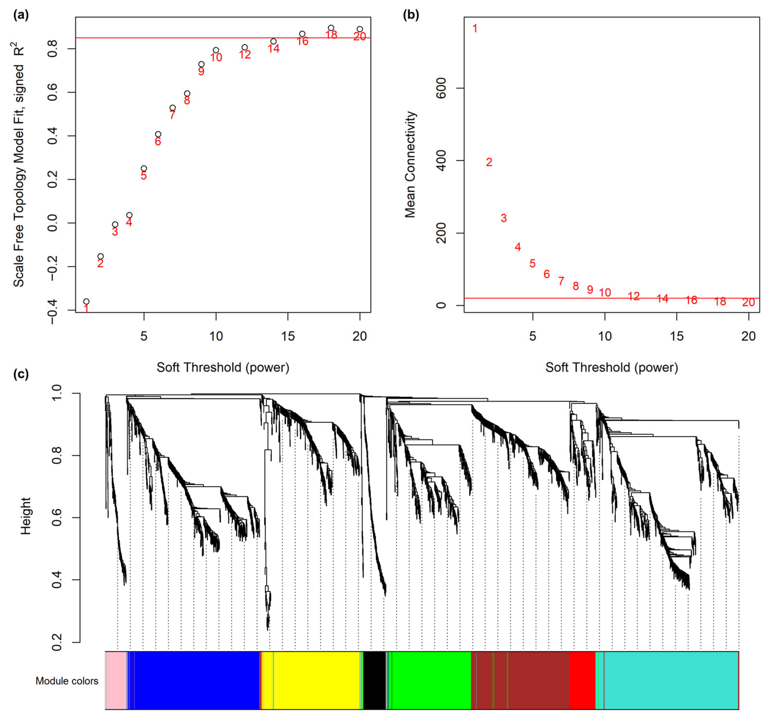 Microbiolres 16 00242 g001 Microbiolres 16 00242 g001