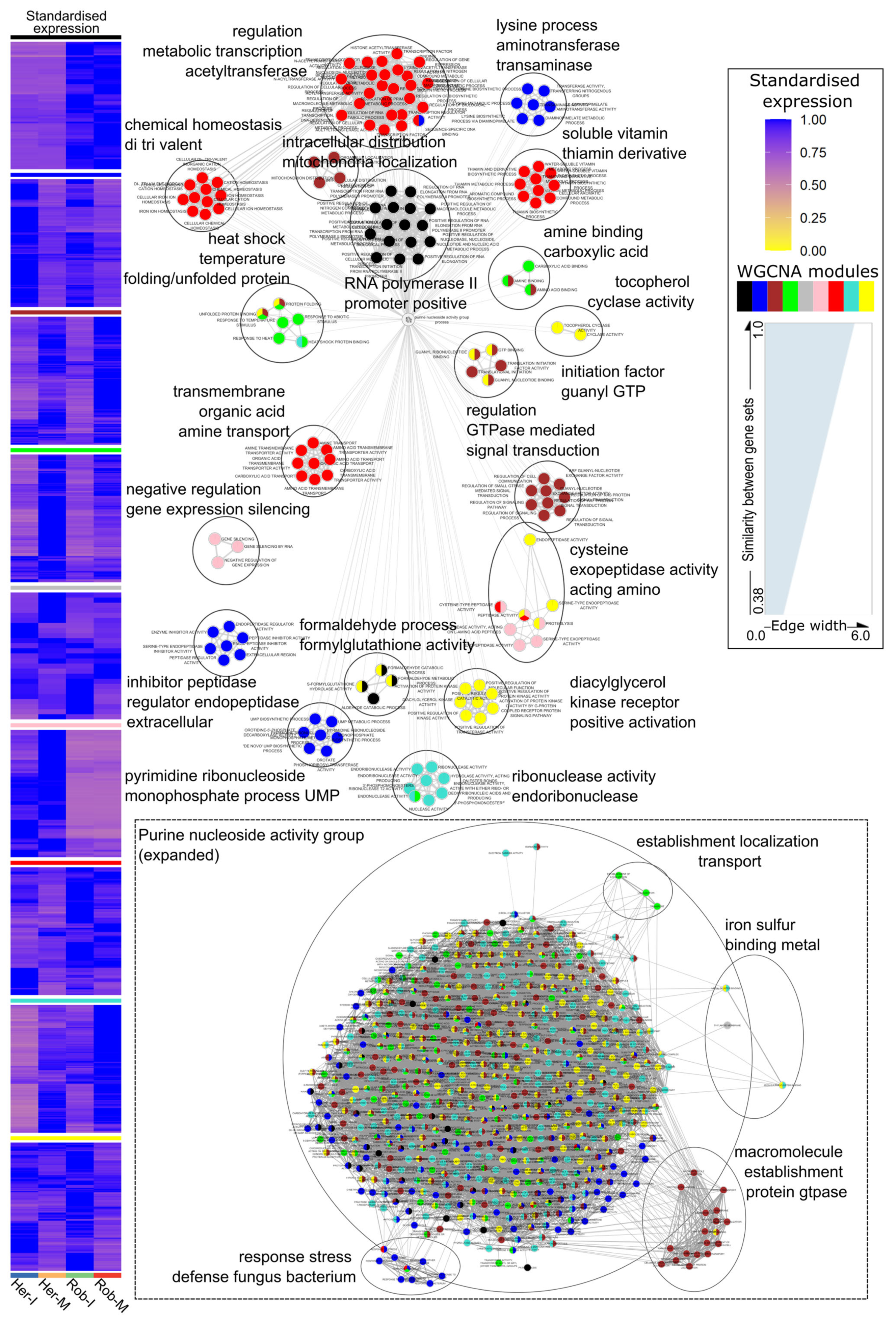 Microbiolres 16 00242 g002 Microbiolres 16 00242 g002