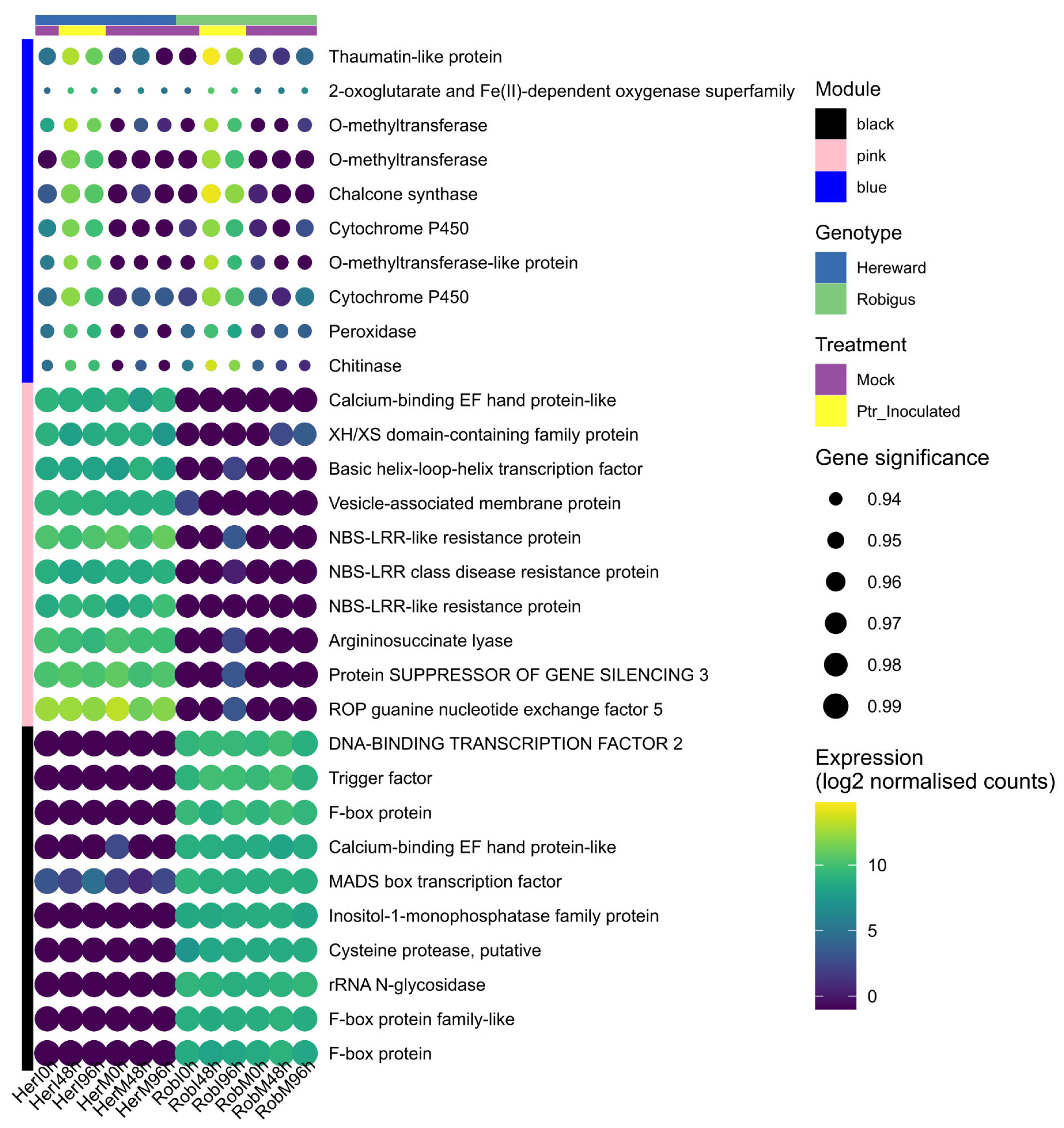 Microbiolres 16 00242 g006 Microbiolres 16 00242 g006