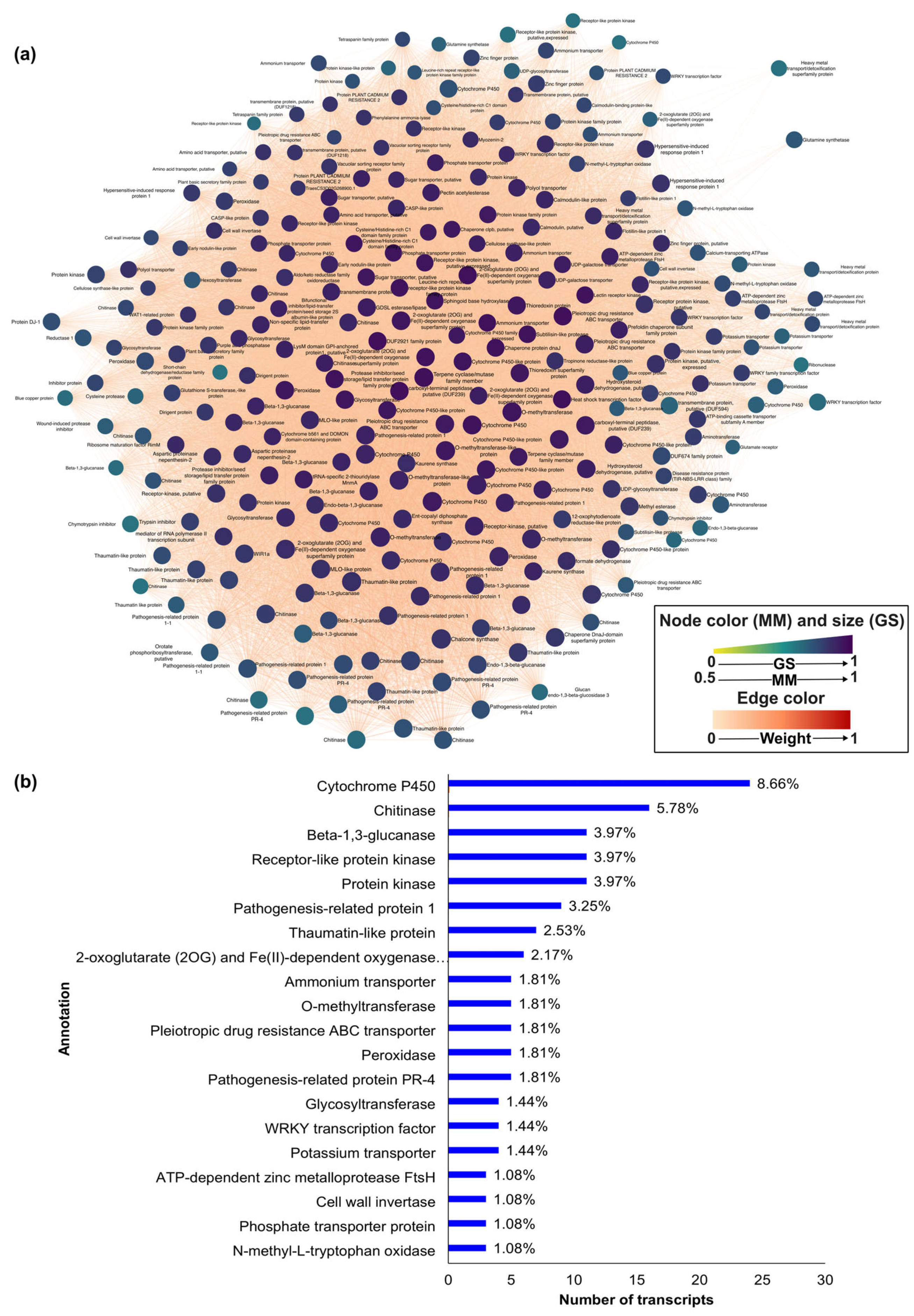 Microbiolres 16 00242 g007 Microbiolres 16 00242 g007