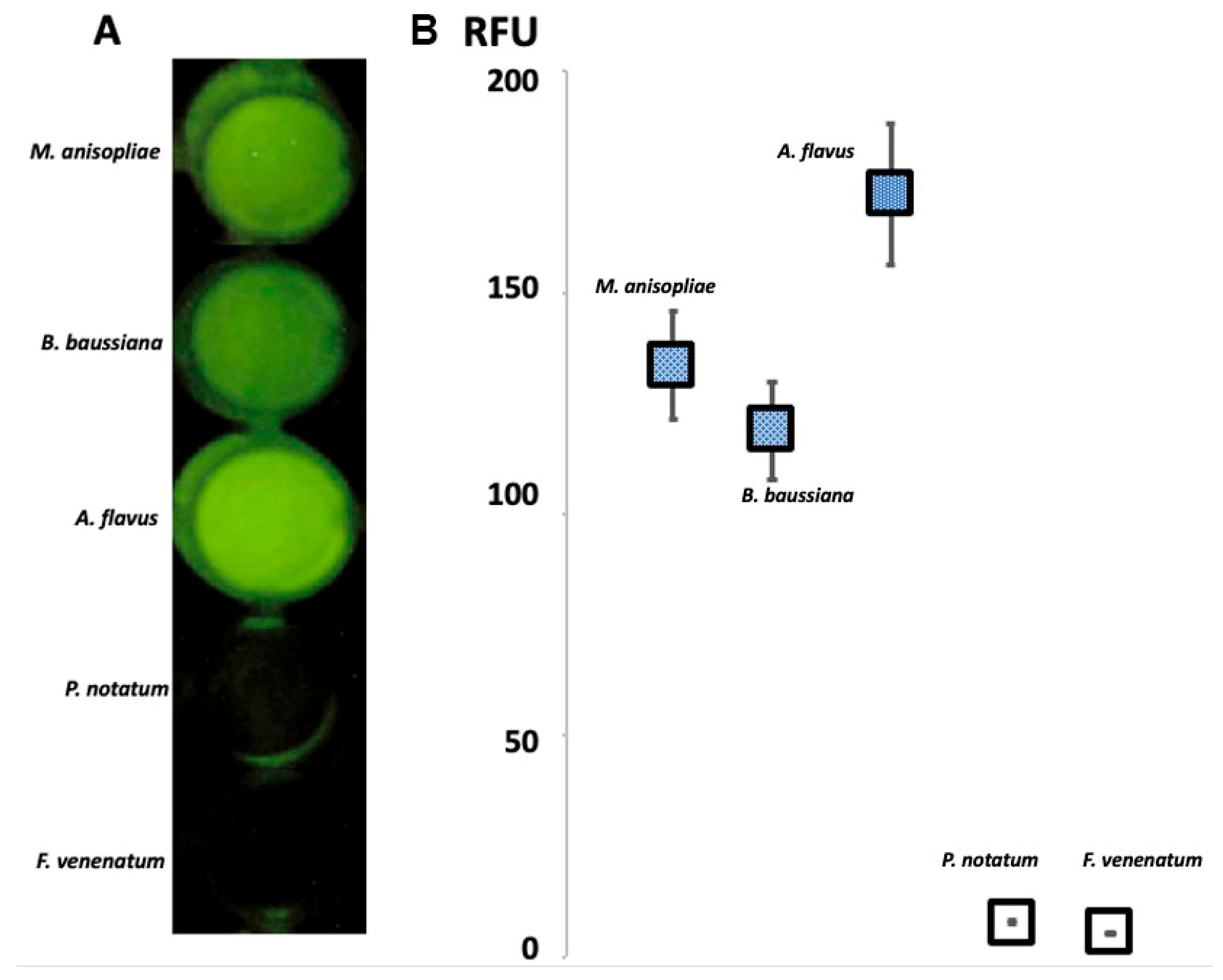 Microbiolres 16 00243 g004