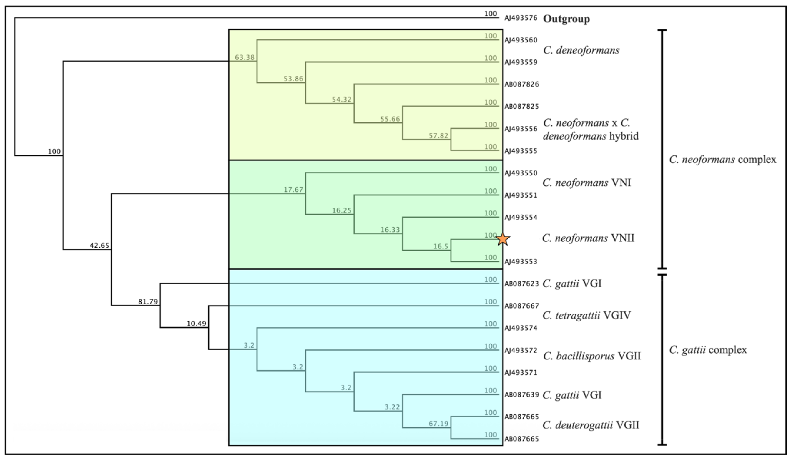 Microbiolres 16 00245 g002